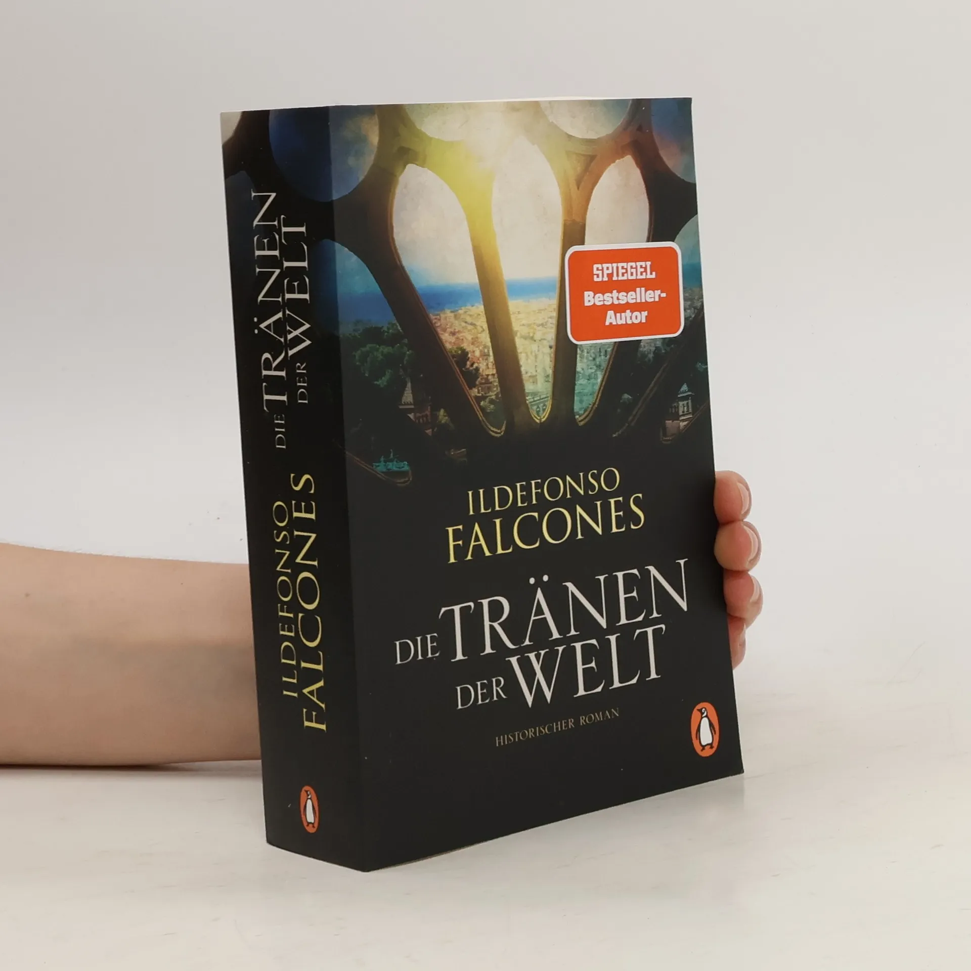 Die Tränen der Welt | Libro | Ildefonso Falcones | DE