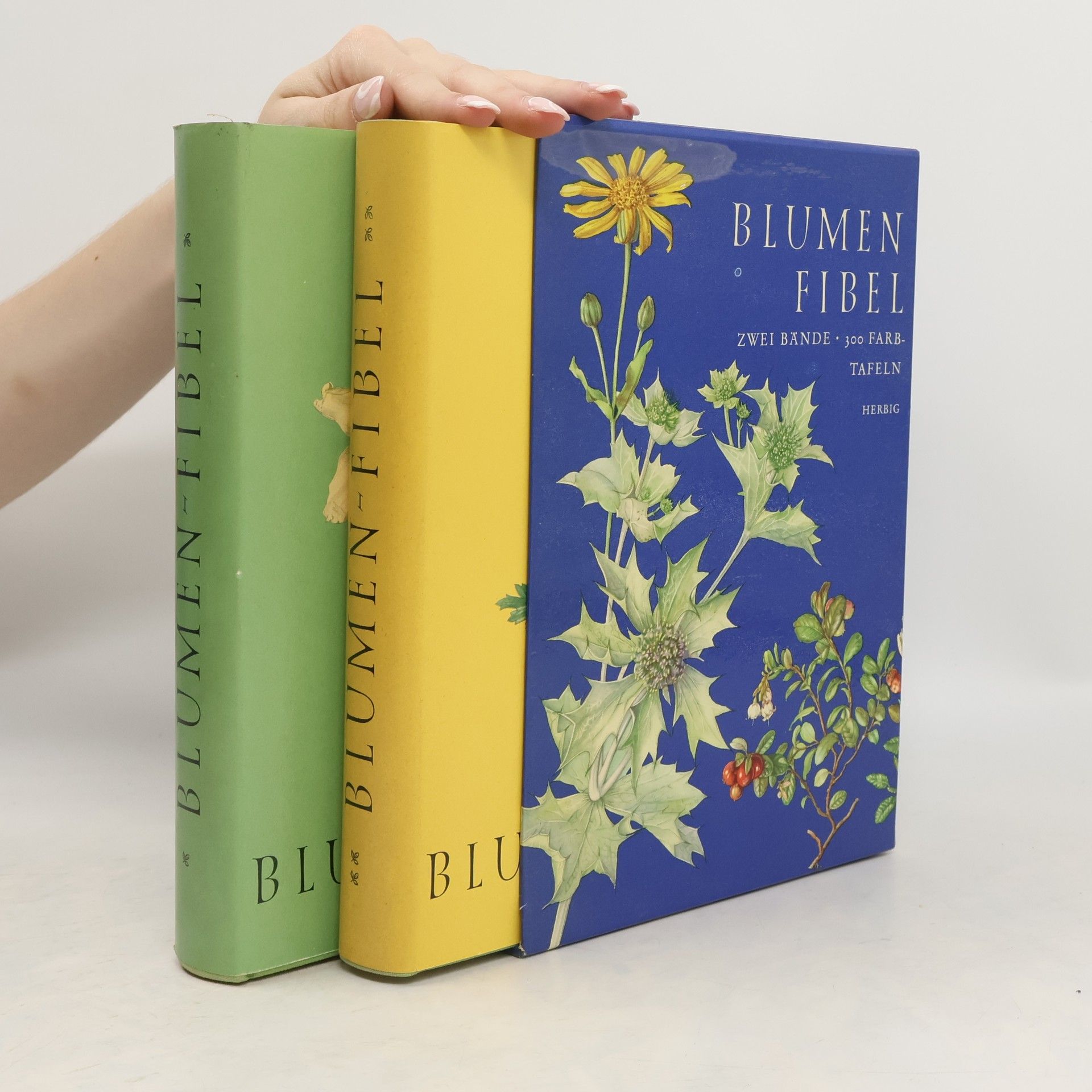 Collectif d'auteurs Blumen-Fibel 1-2