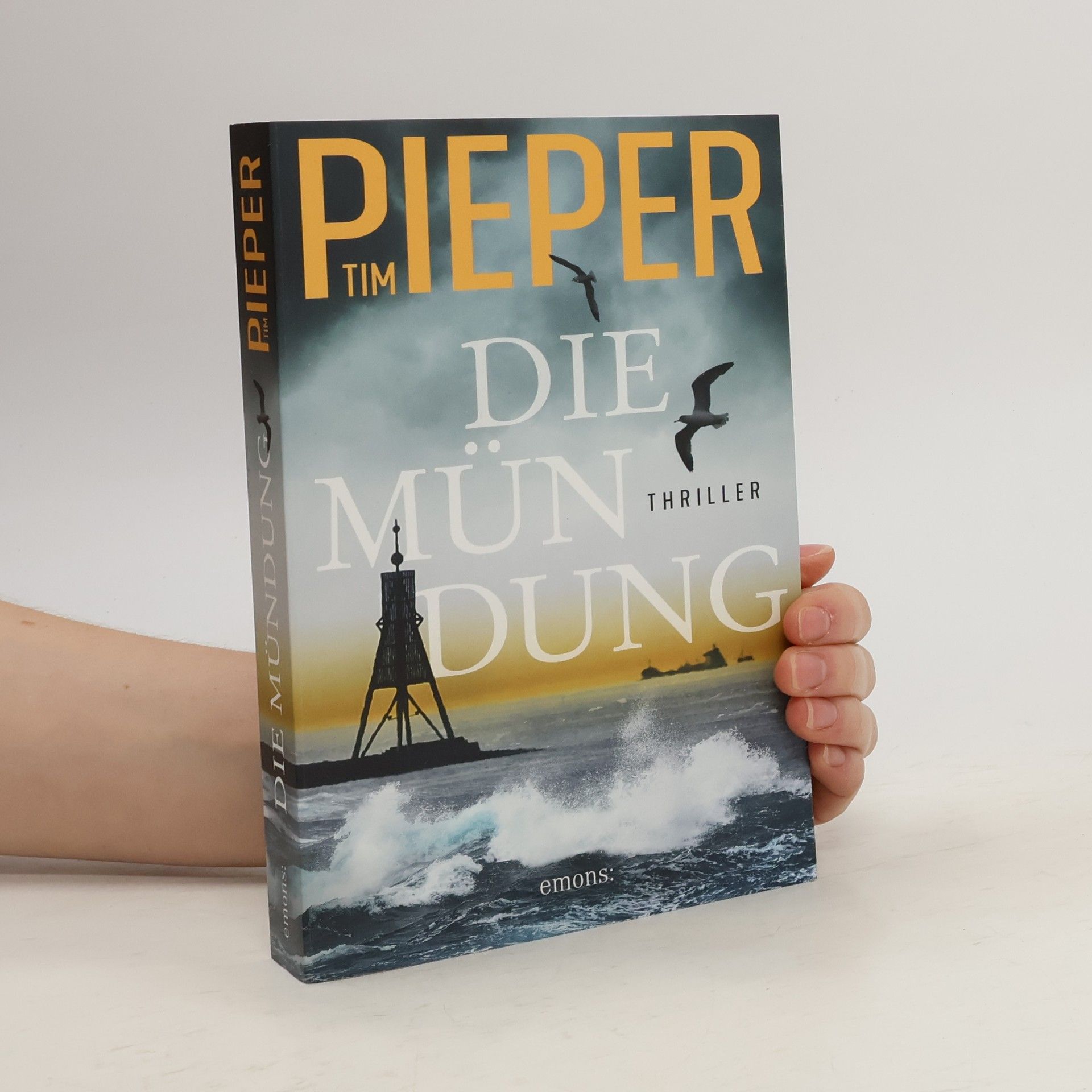 Tim Pieper Die Mündung