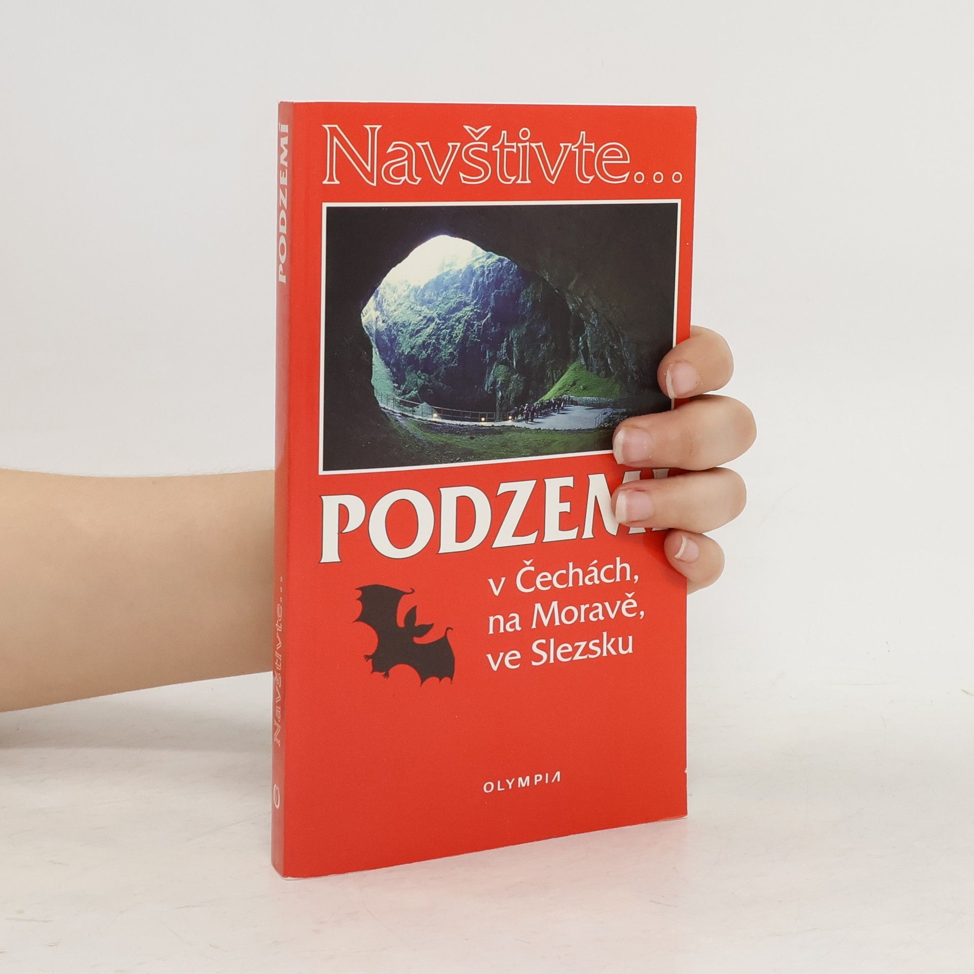 Jaroslav Hromas Podzemí v Čechách, na Moravě, ve Slezsku