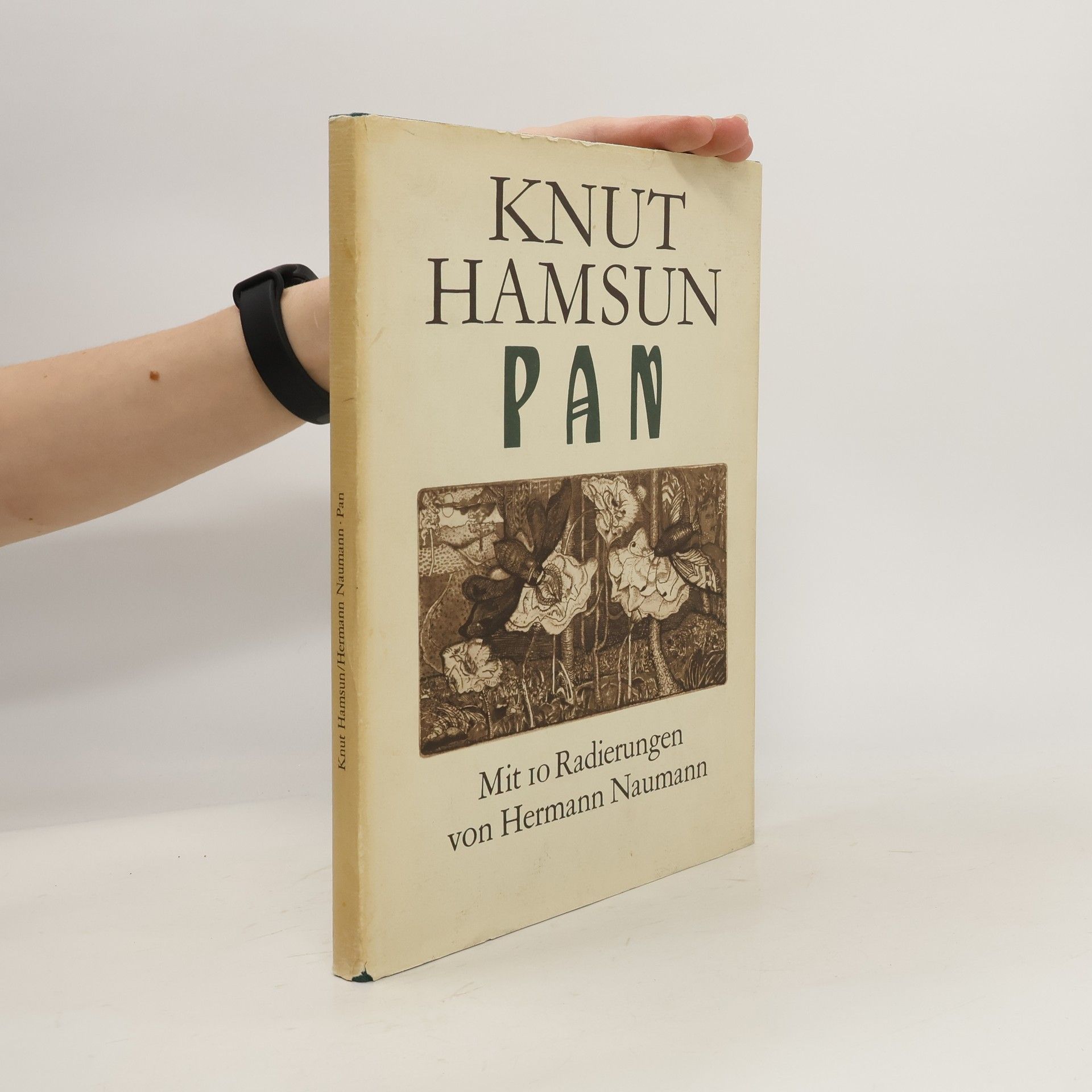 Knut Hamsun Pan