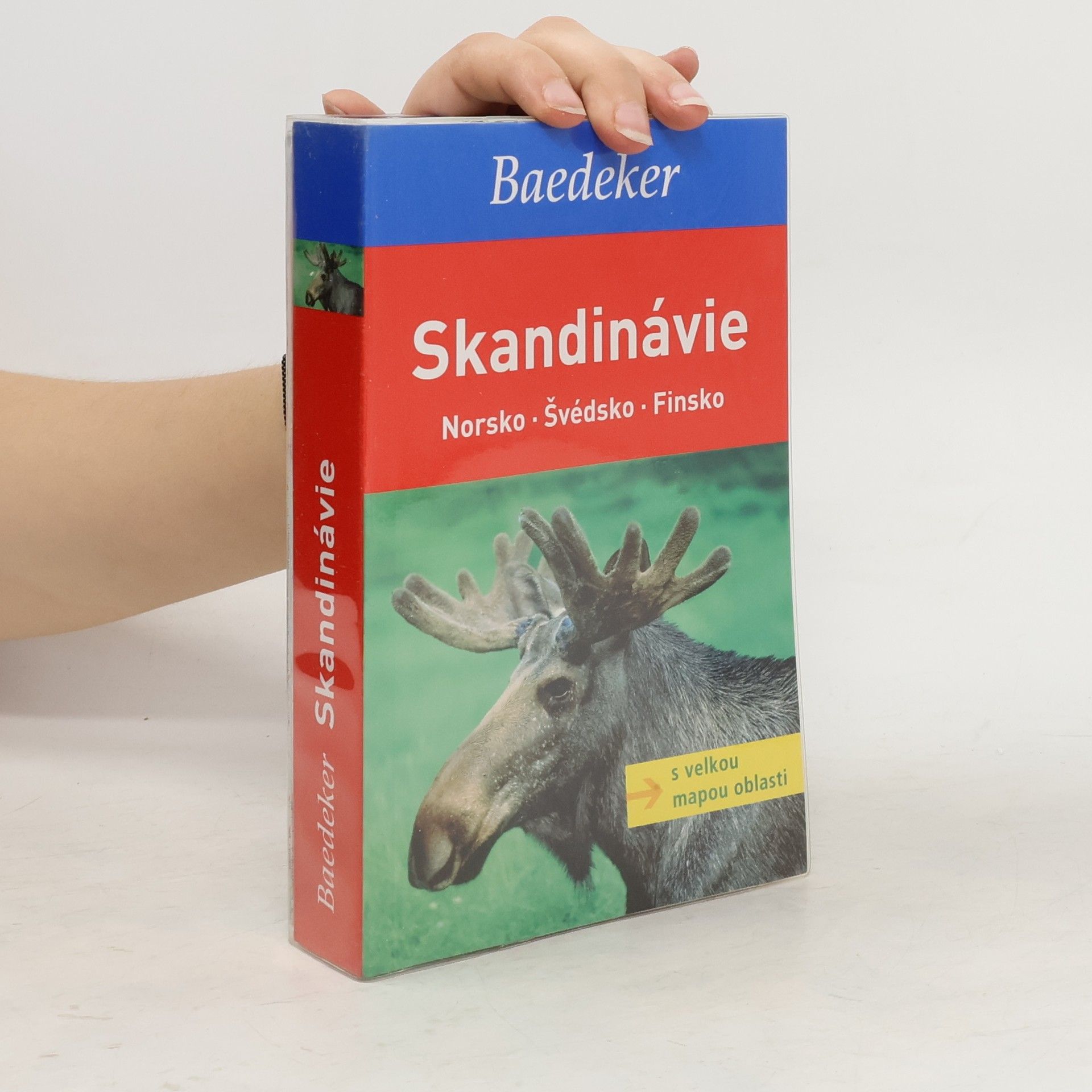 kolektiv Skandinávie