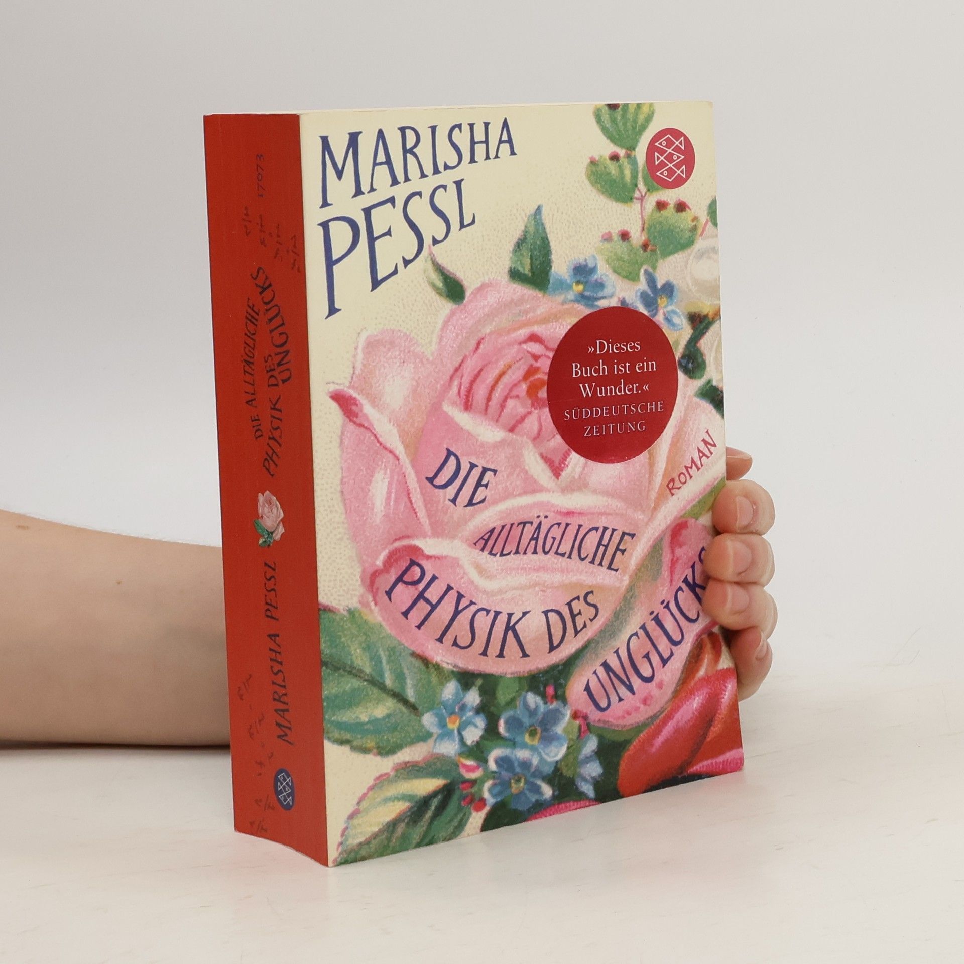 Marisha Pessl Die alltägliche Physik des Unglücks