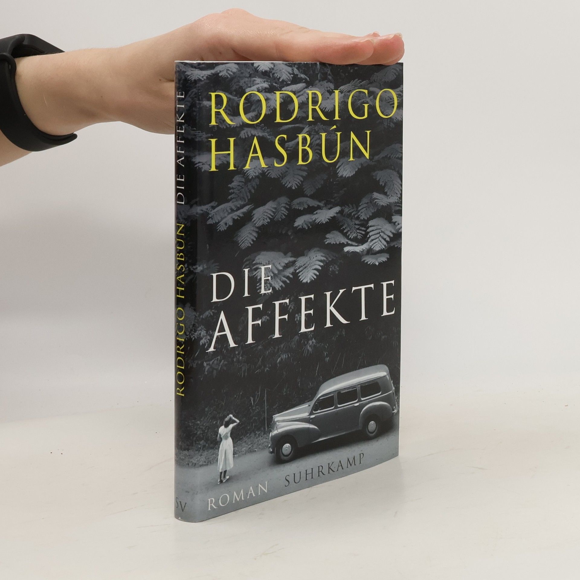 Rodrigo Hasbún Die Affekte