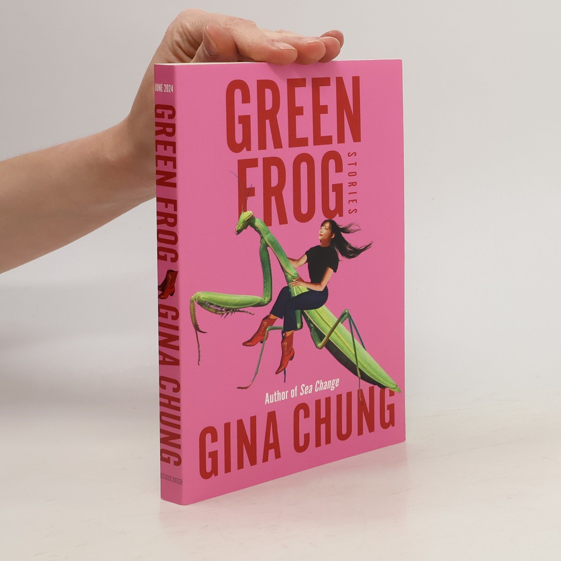 Gina Chung Green Frog