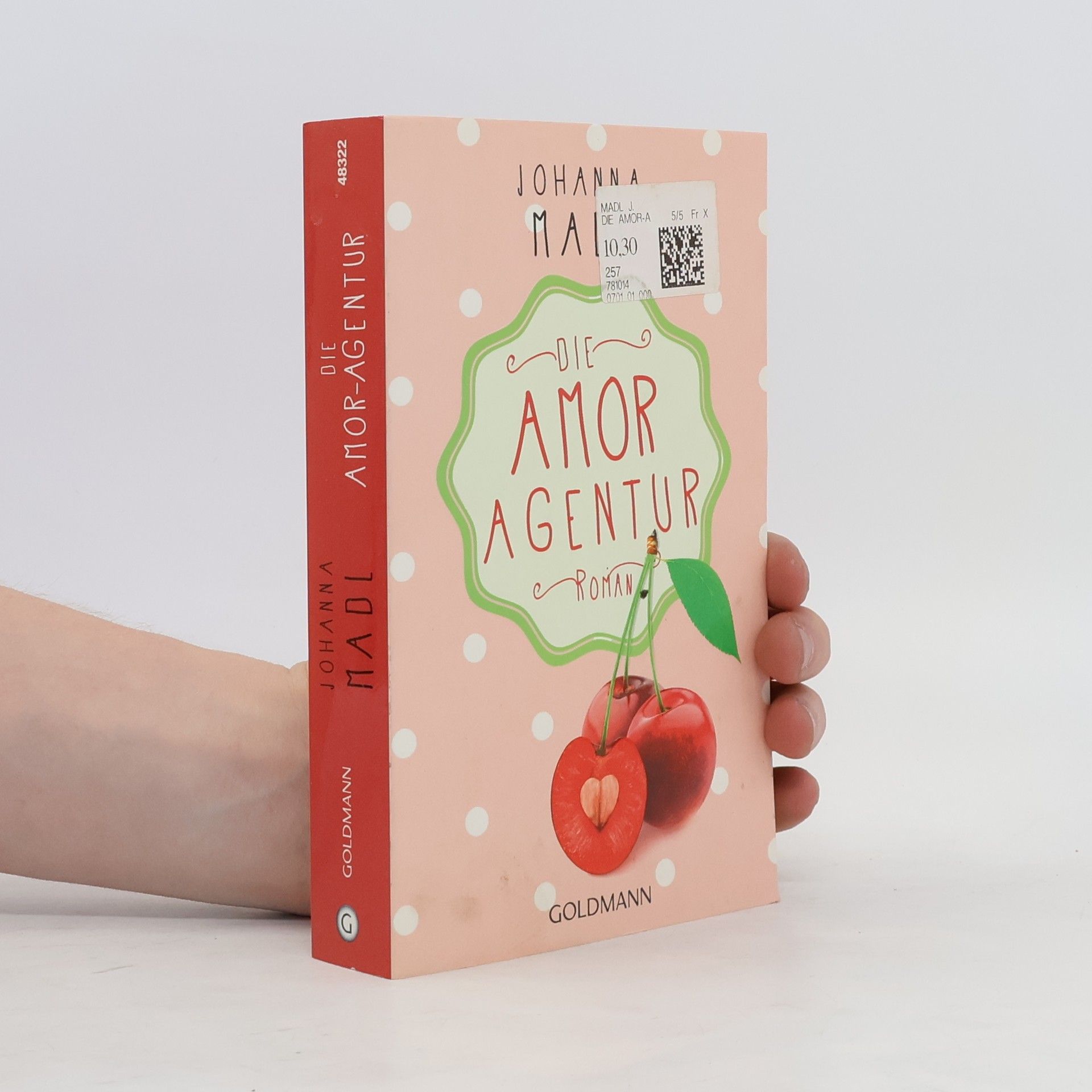 Johanna Madl Die Amor-Agentur