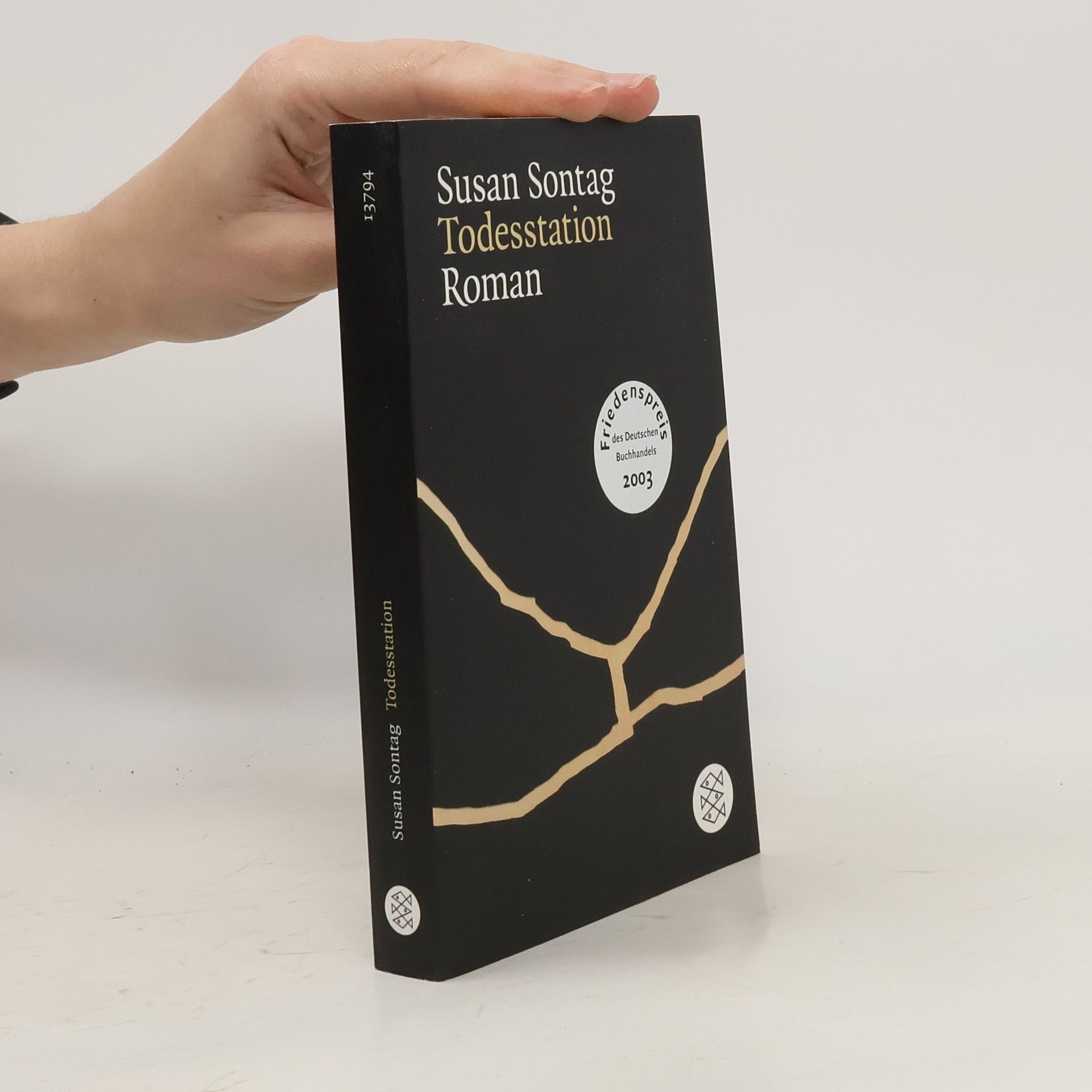 Susan Sontag Todesstation