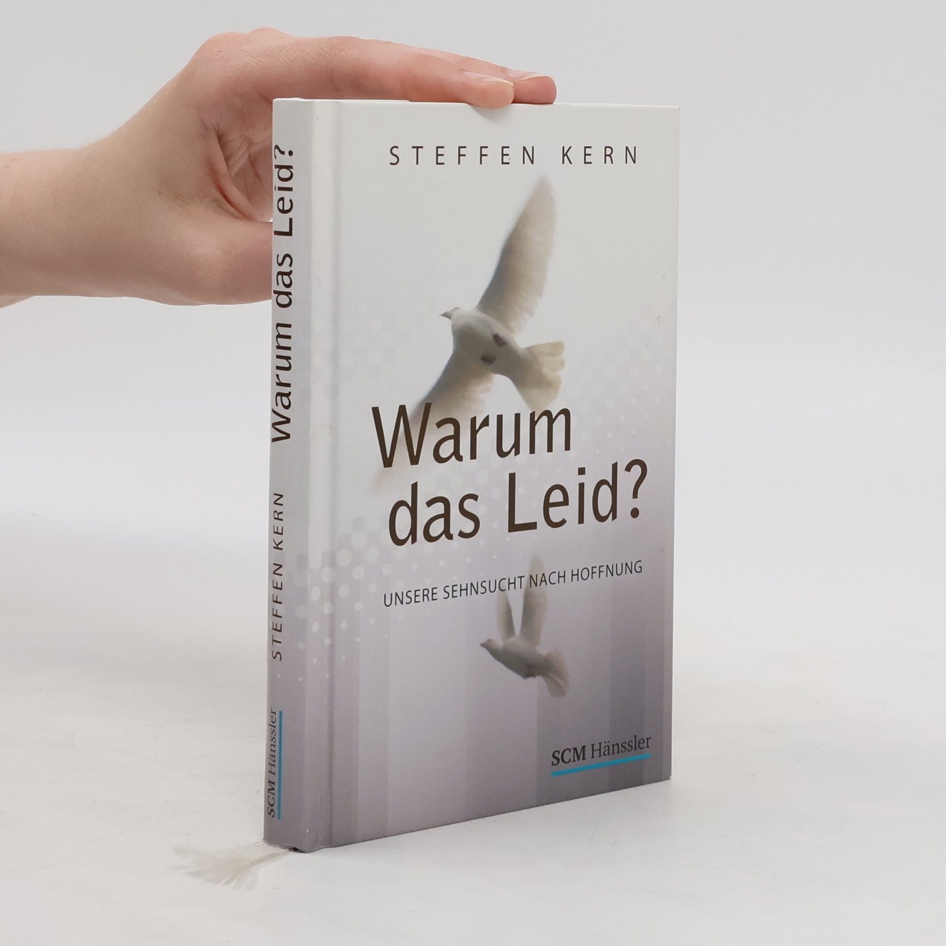 Steffen Kern Warum das Leid?