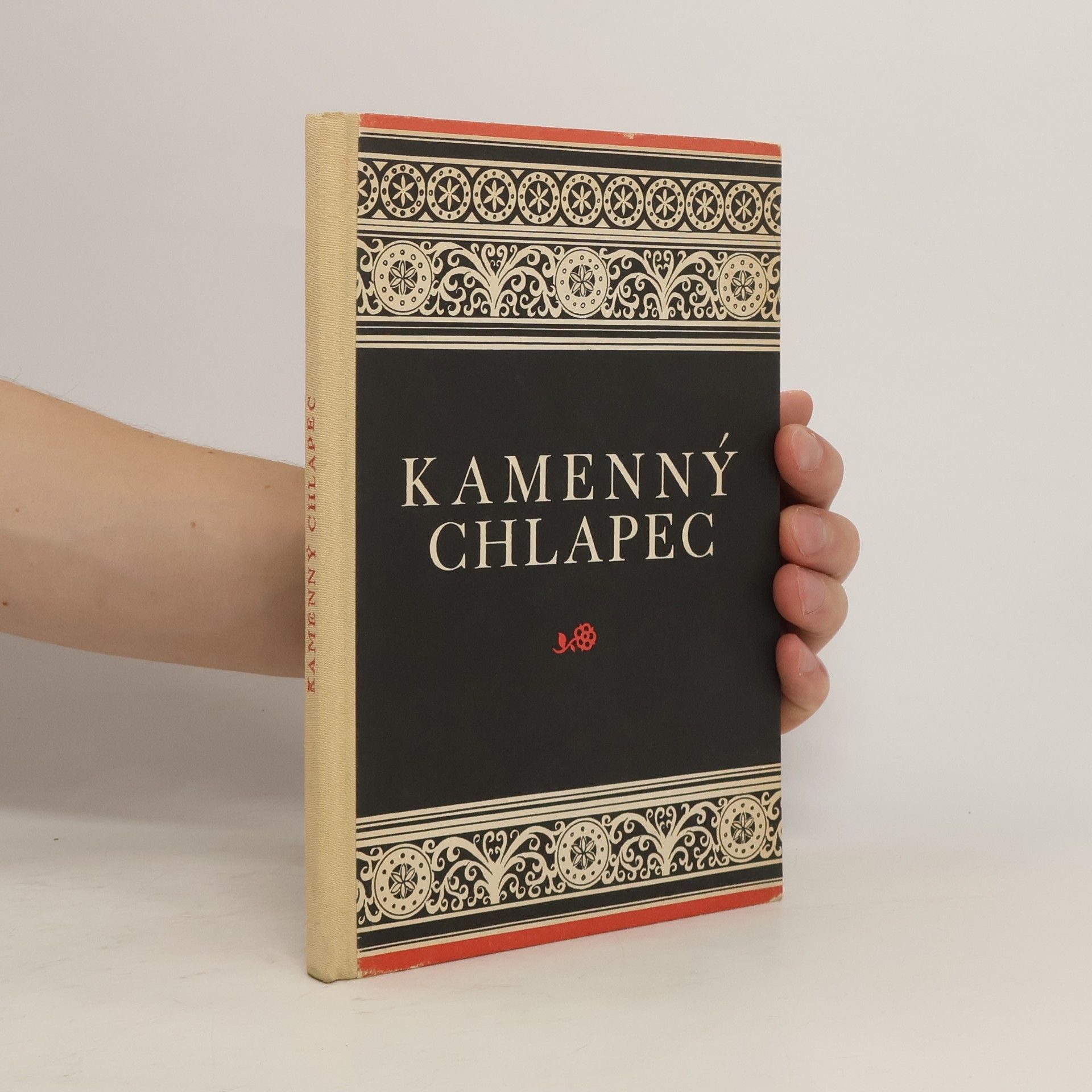 František Holešovský Kamenný chlapec