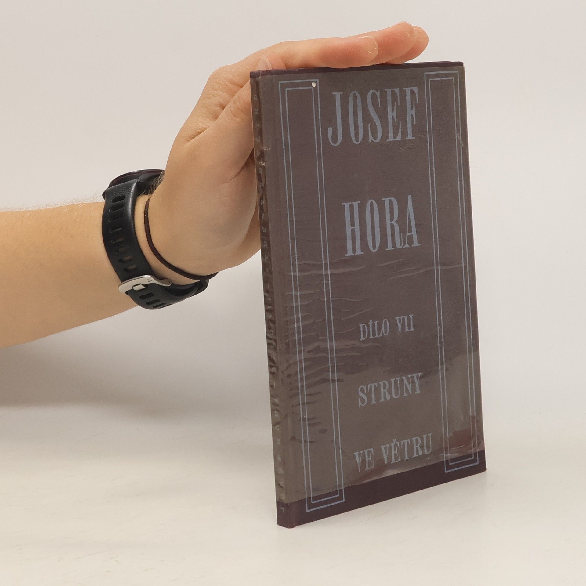 Josef Hora Struny ve větru