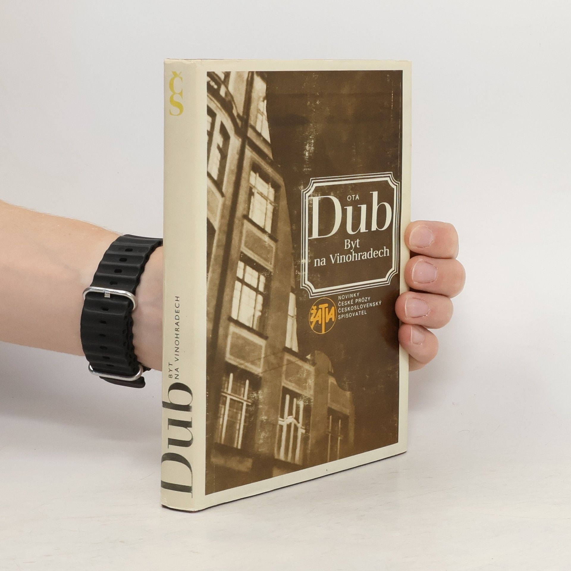 Ota Dub Byt na Vinohradech