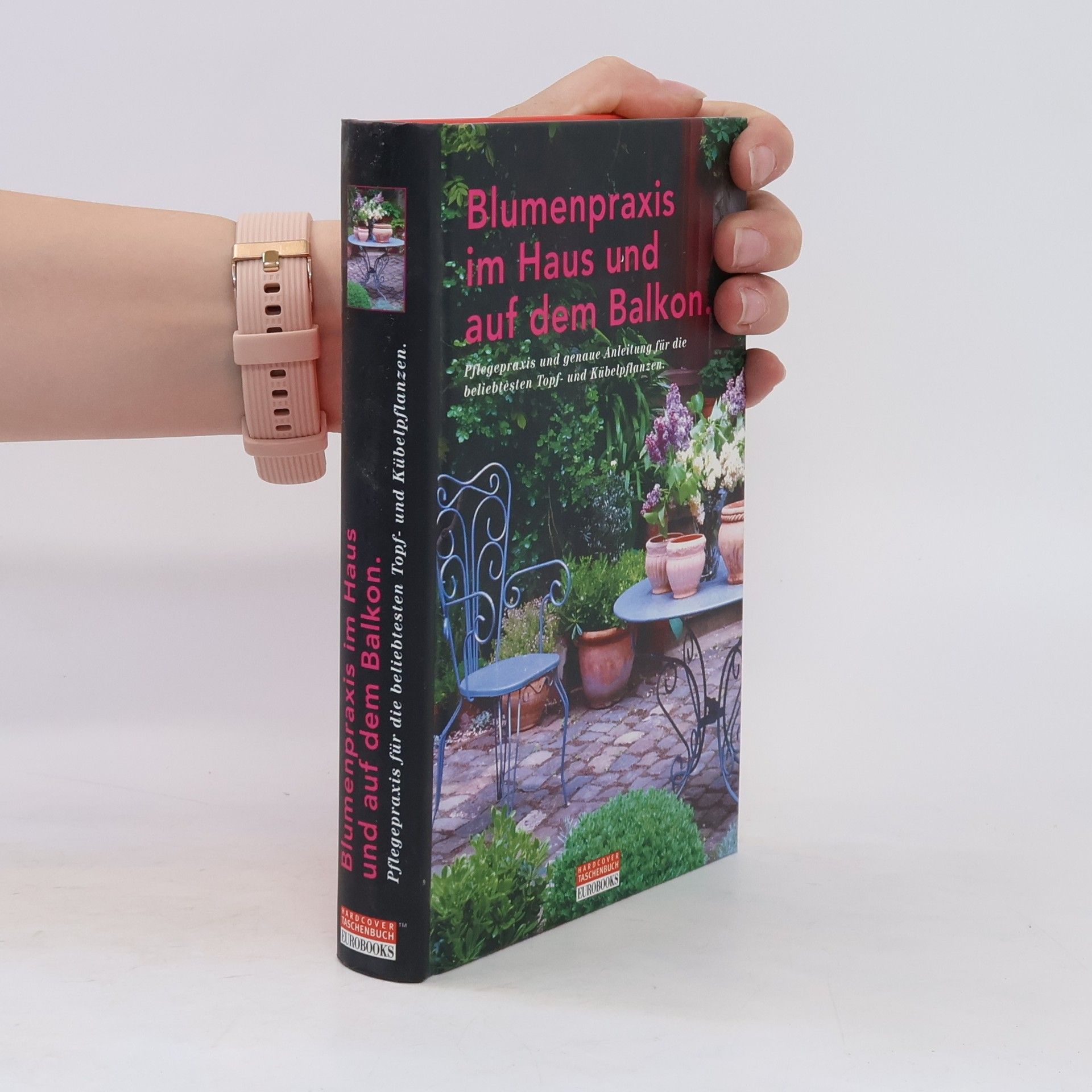 kolektiv Blumenpraxis im Haus und auf dem Balkon
