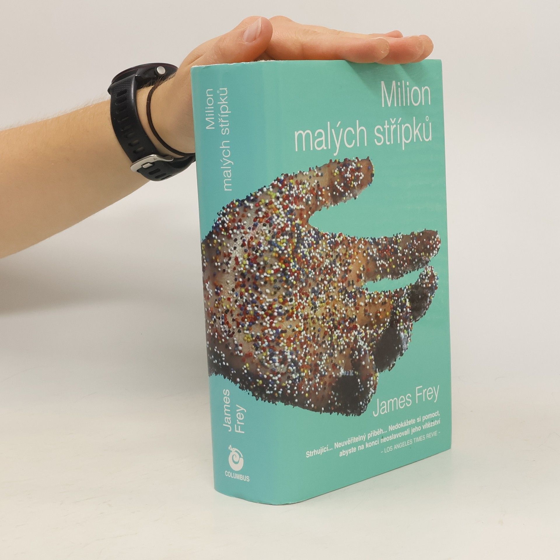 James Frey Milion malých střípků