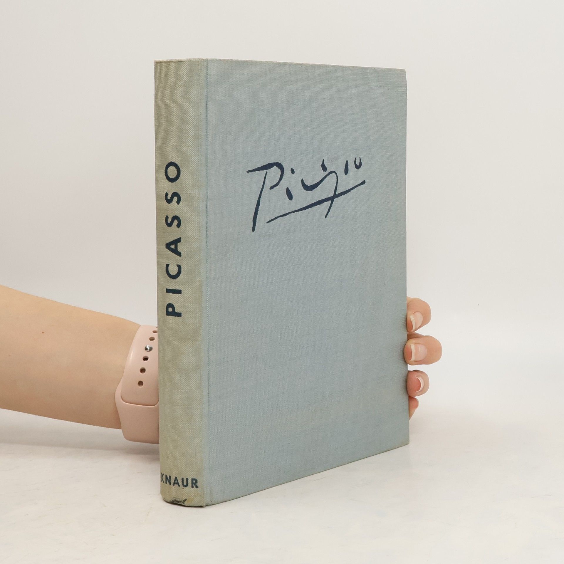 Autorenkollektiv Picasso