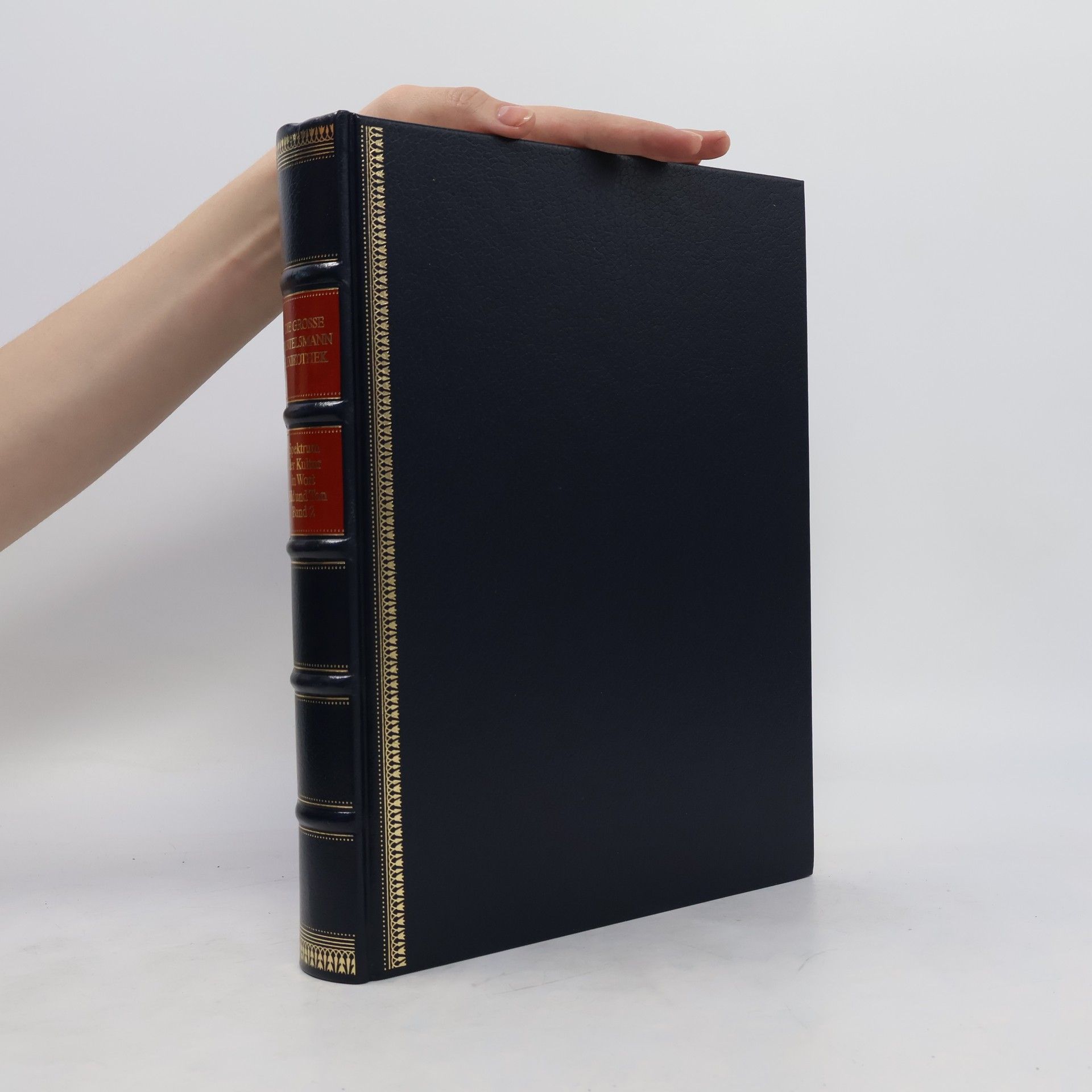 Kolektív autorov Spektrum der Kultur in Wort, Bild und Ton