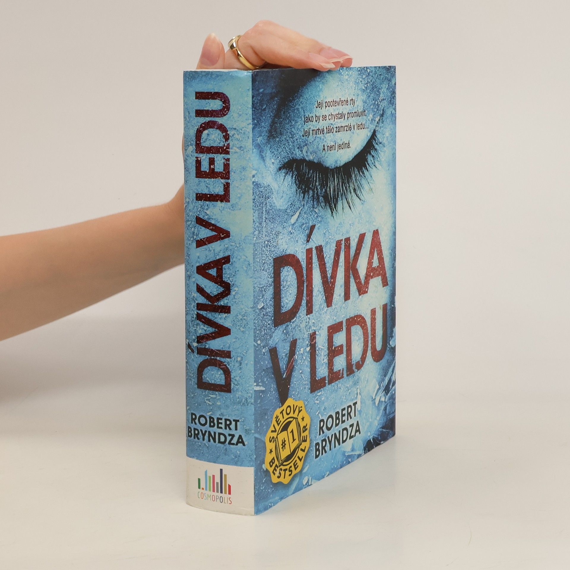 Robert Bryndza Dívka v ledu