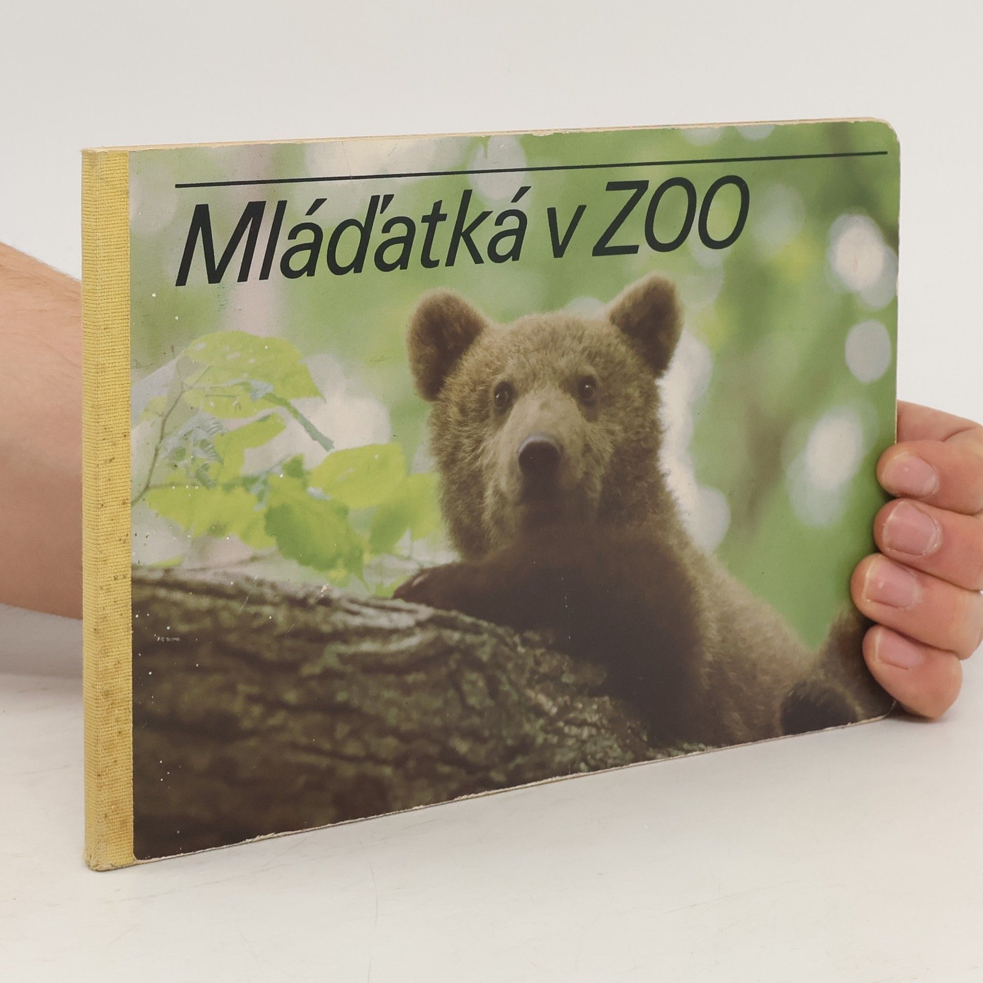 Paľo Košťál Mláďatká v ZOO