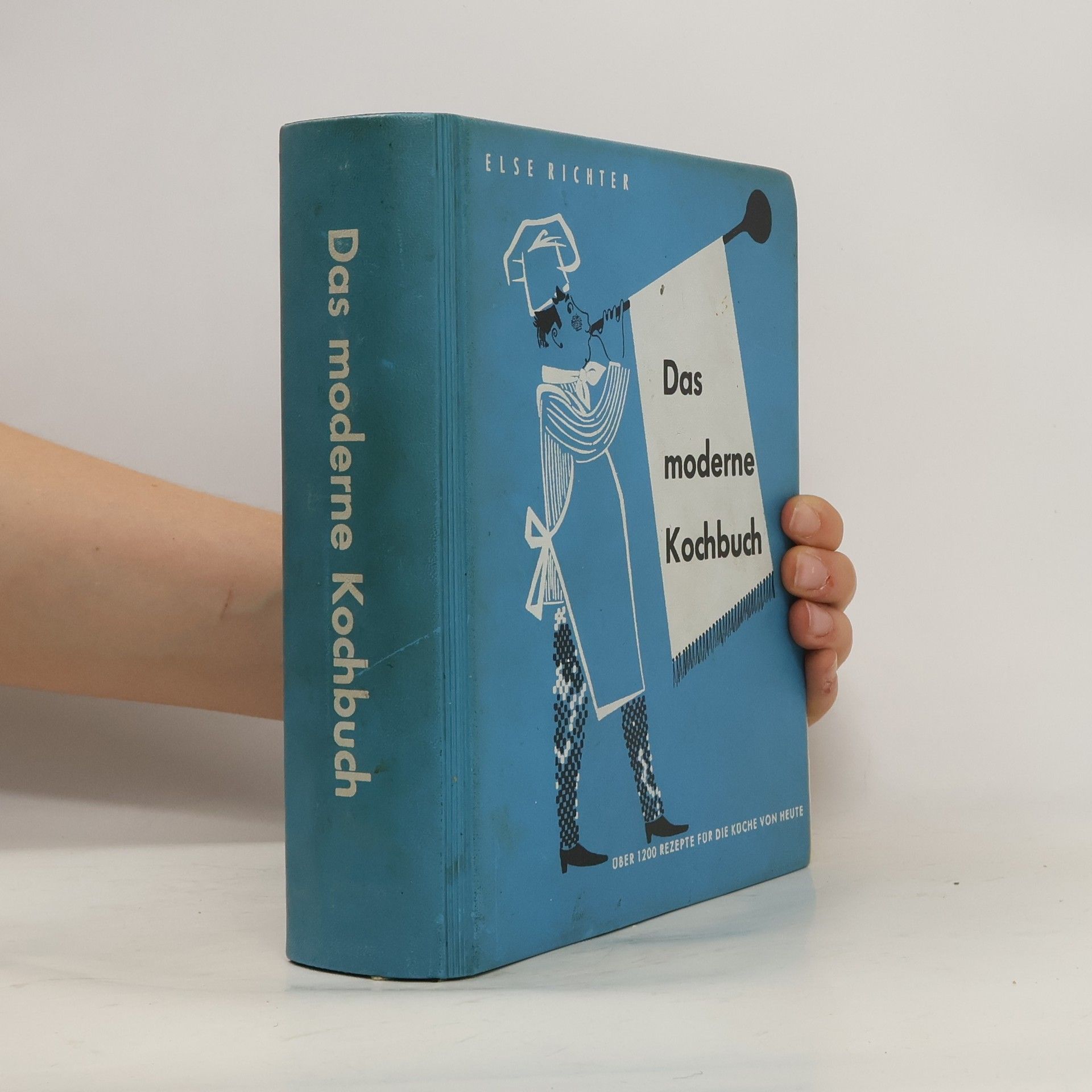 Else Richter Das moderne Kochbuch