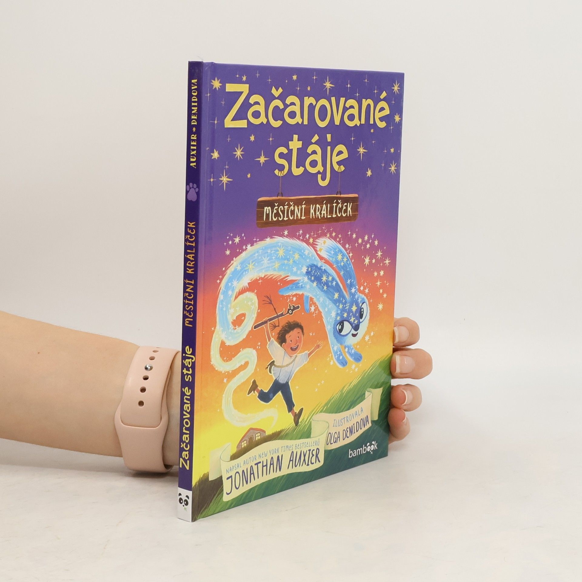 Jonathan Auxier Začarované stáje. Měsíční králíček