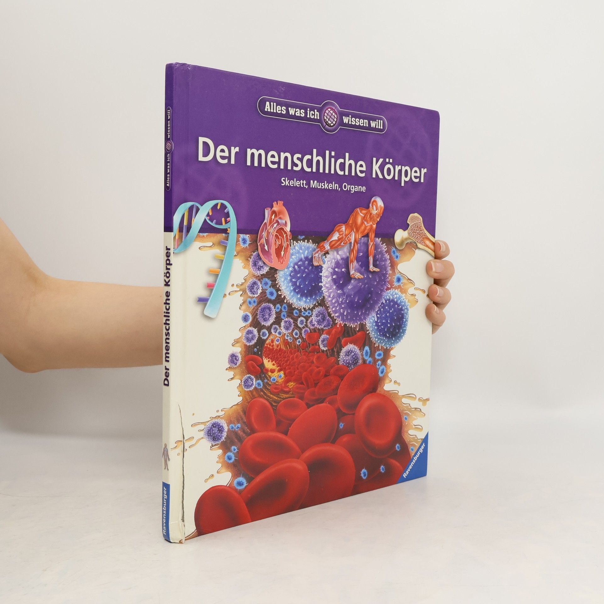 Steve Parker Der menschliche Körper