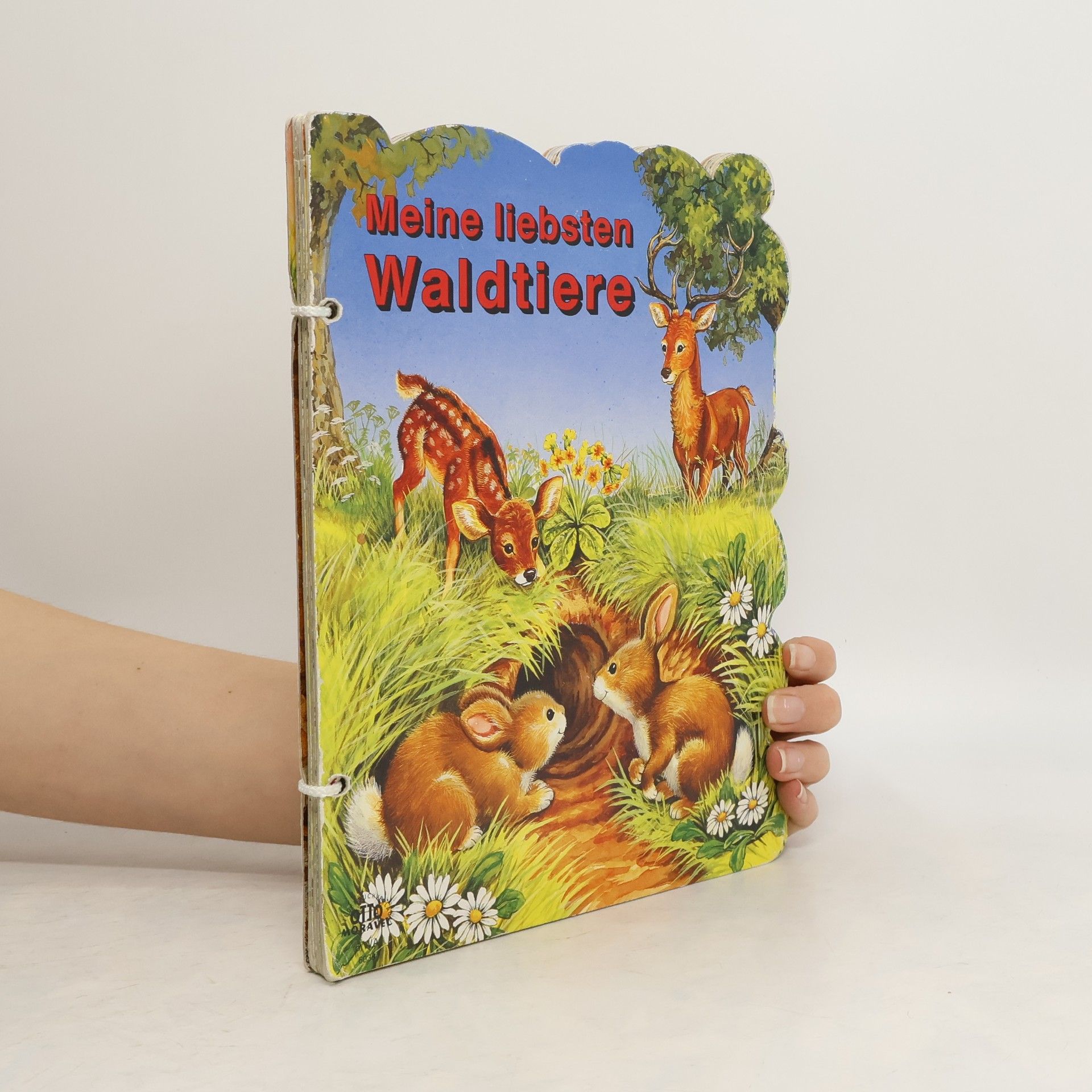 Kolektiv autorů Meine liebsten Waldtiere