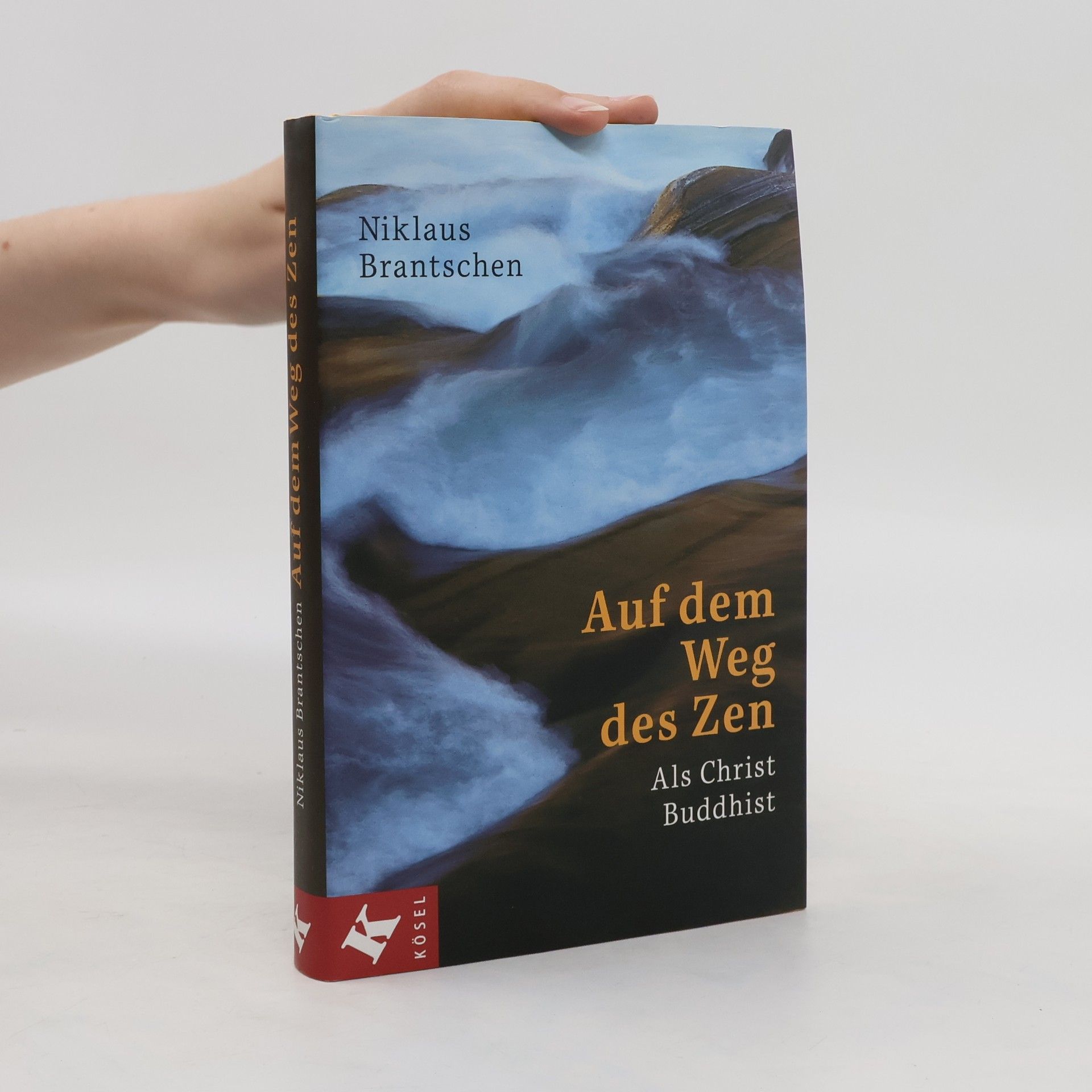 Niklaus Brantschen Auf dem Weg des Zen