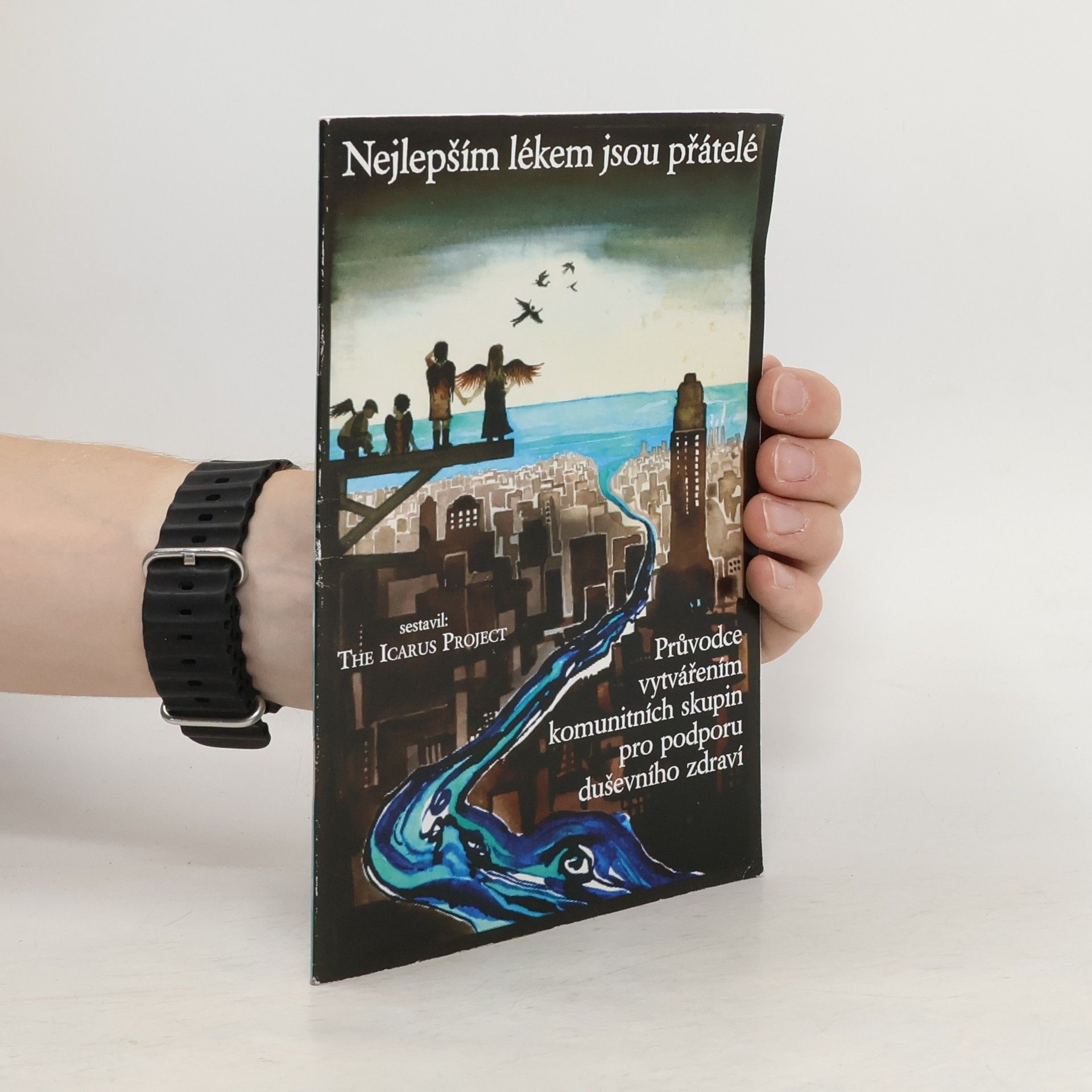 Collectif d'auteurs Nejlepším lékem jsou přátelé