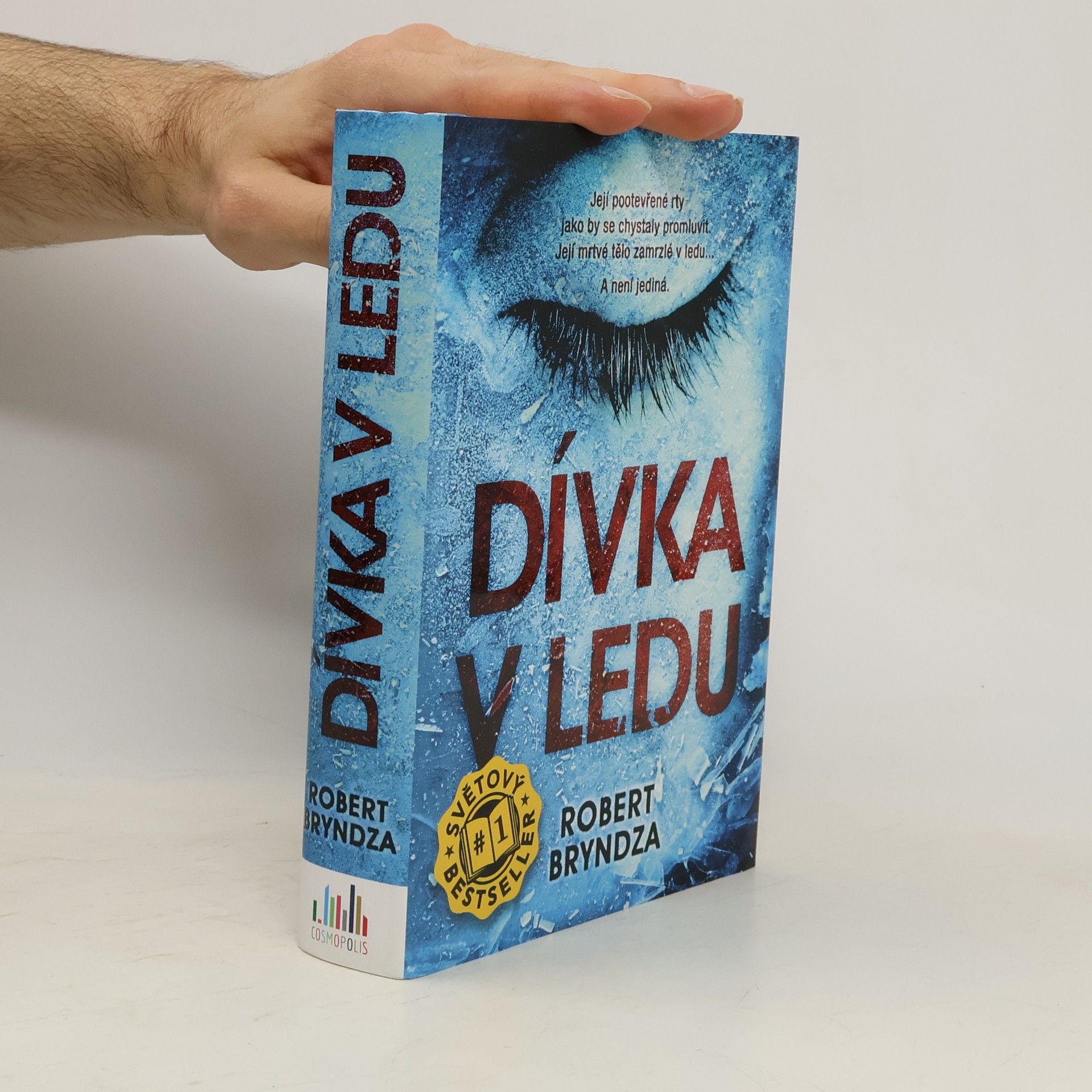 Robert Bryndza Dívka v ledu