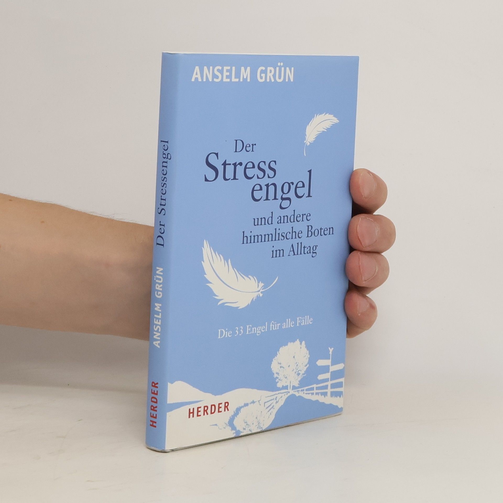 Anselm Grün Der Stressengel und andere himmlische Boten