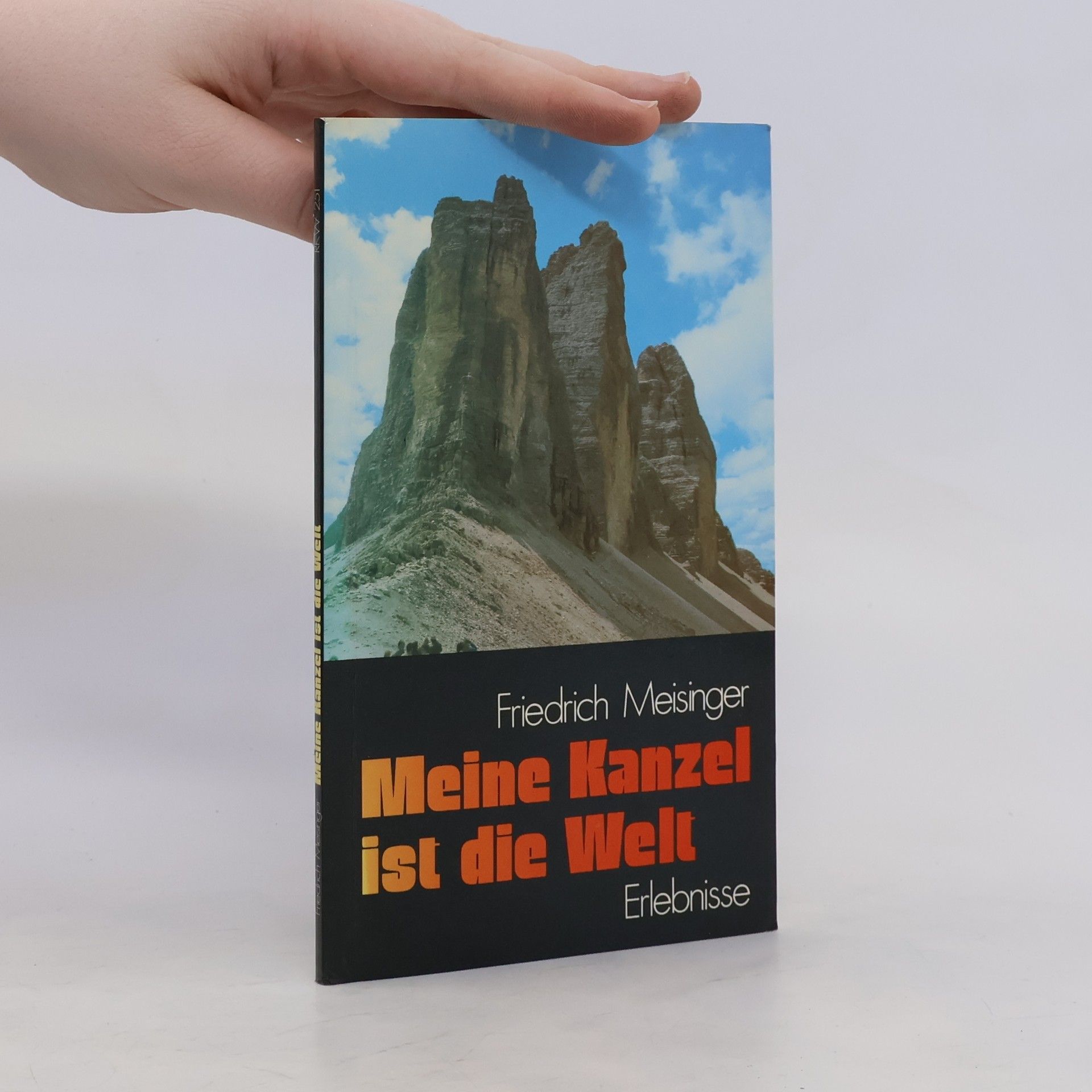 Friedrich Meisinger Meine Kanzel ist die Welt