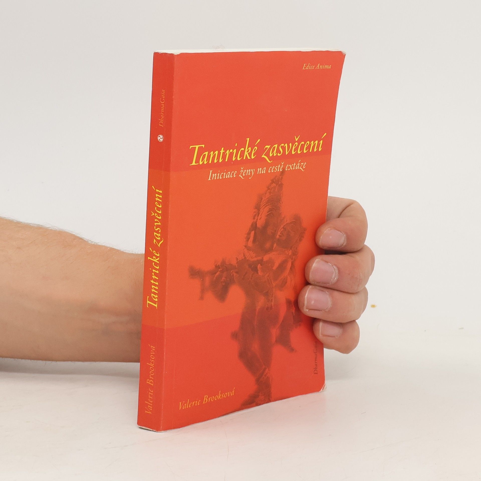 Valerie Brooks Tantrické zasvěcení
