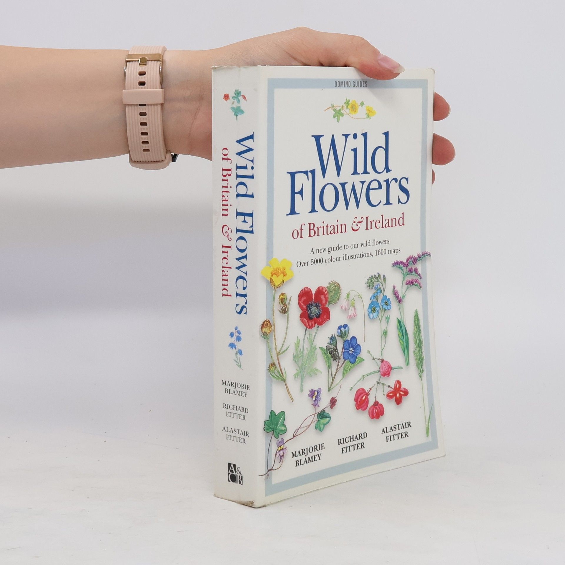Marjorie Blamey Wild Flowers of Britain & Ireland