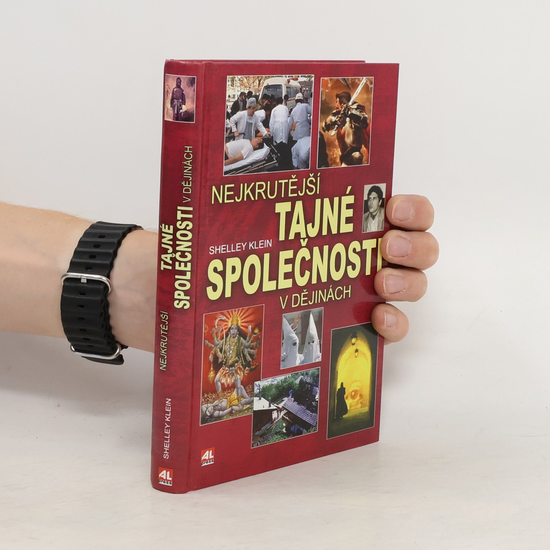 Shelley Klein Nejkrutější tajné společnosti v dějinách