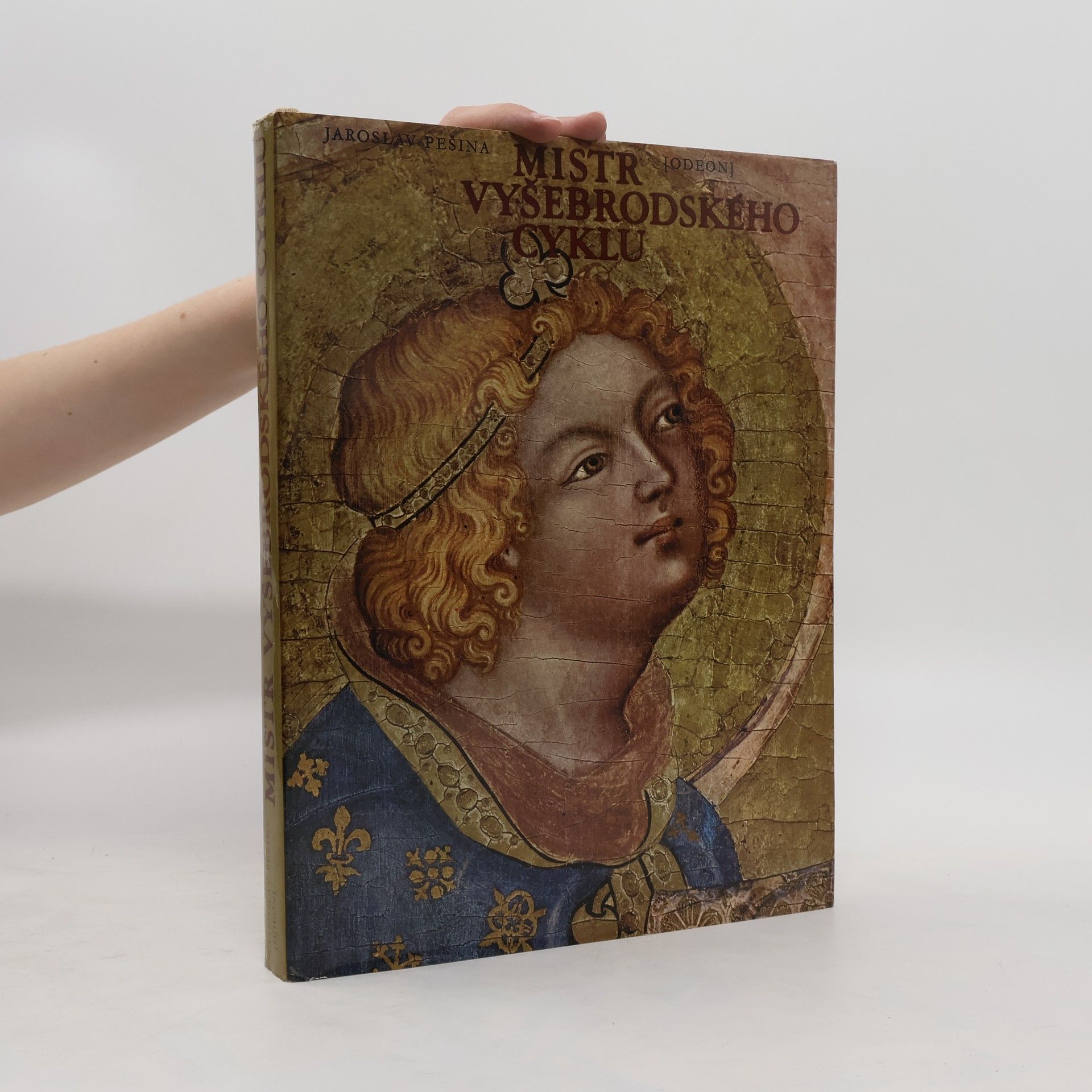 Mistr Vyšebrodského cyklu