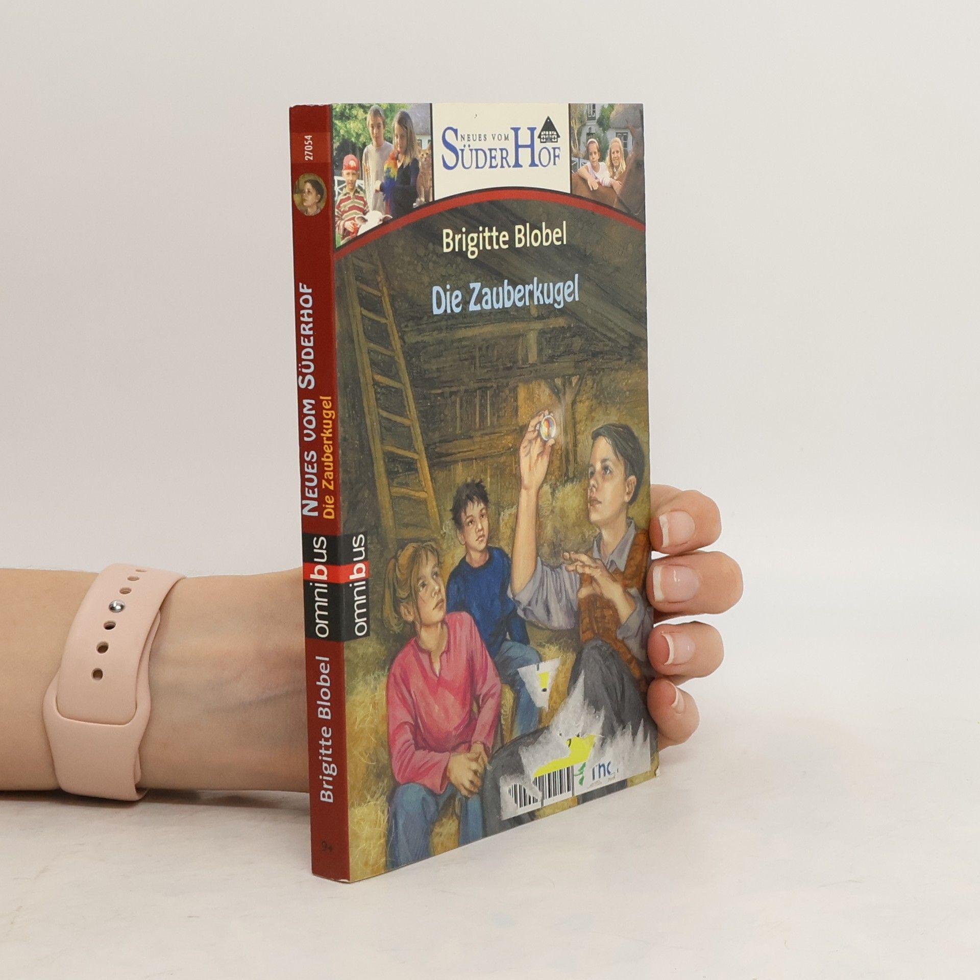 Brigitte Blobel Neues vom Süderhof 9 - Die Zauberkugel