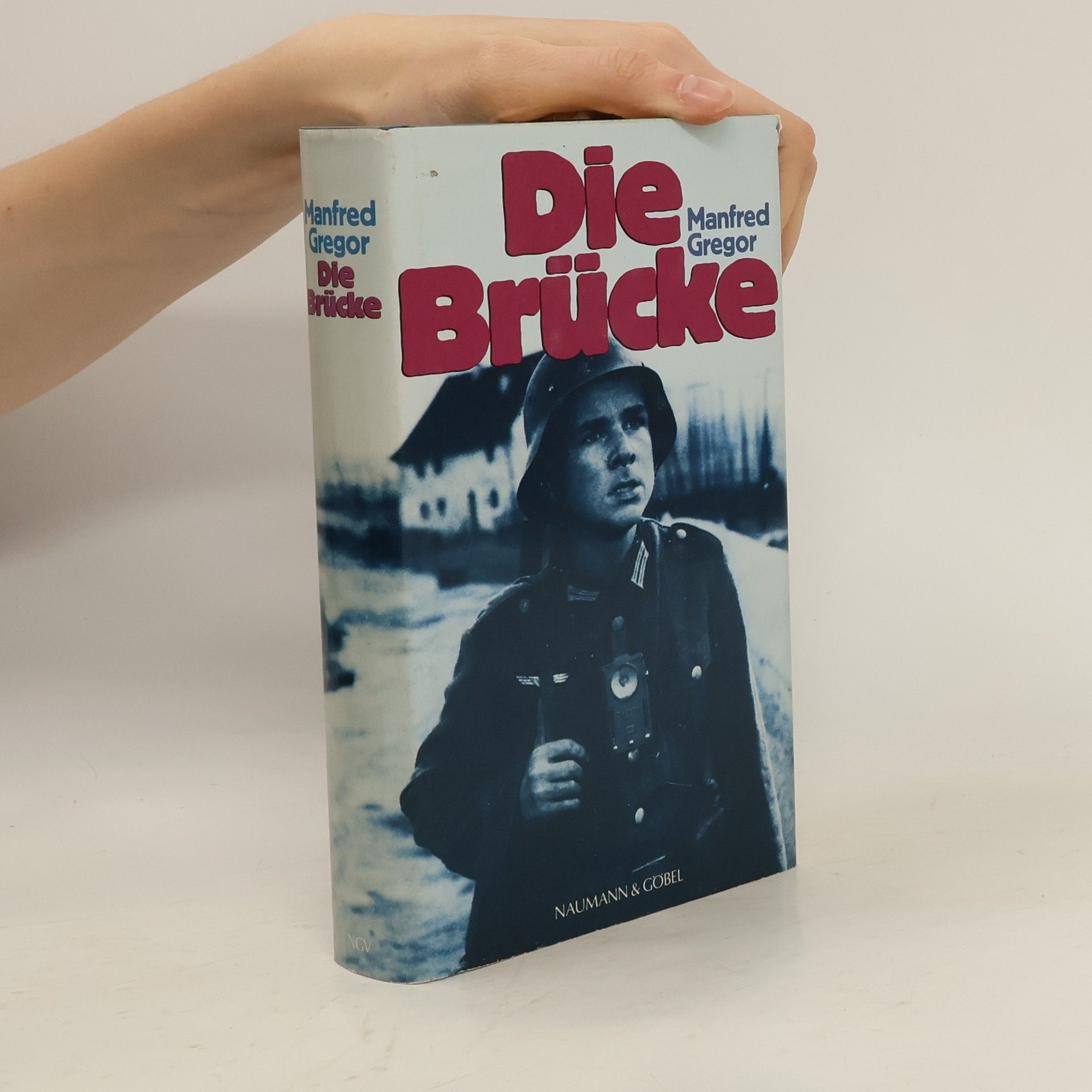 Manfred Gregor Die Brücke. Roman