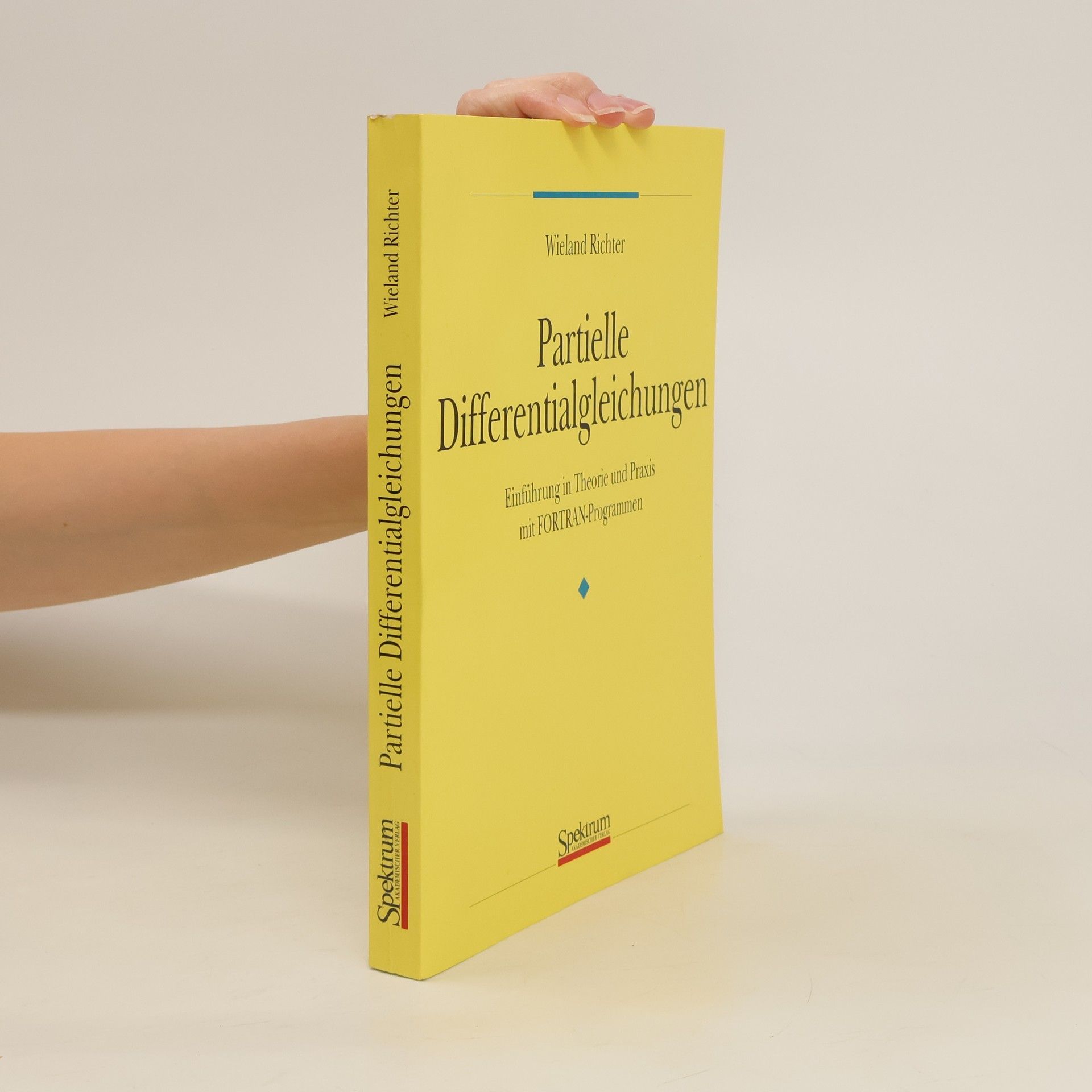 Wieland Richter Partielle Differentialgleichungen