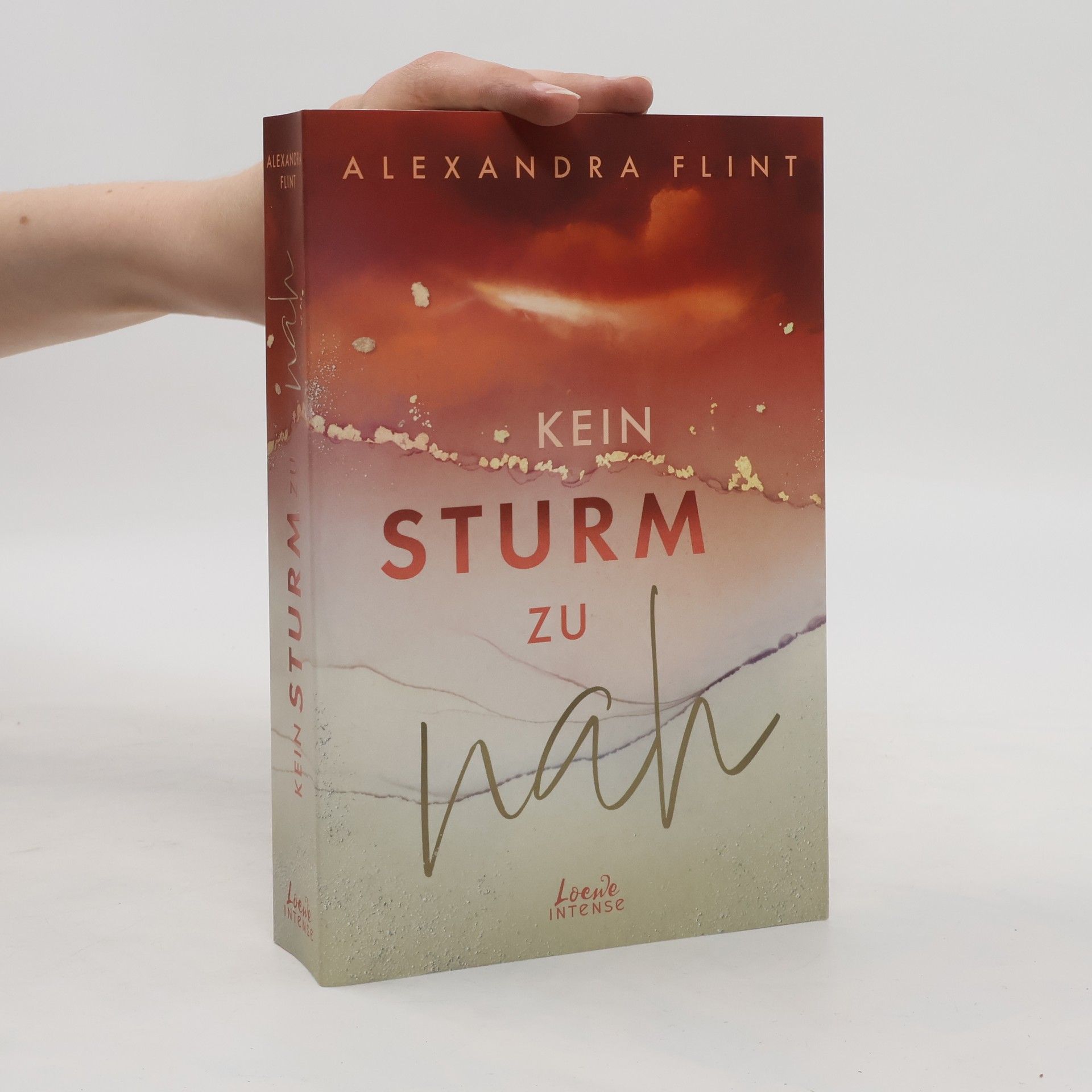 Alexandra Flint Kein Sturm zu nah (Tales of Sylt, Band 2)
