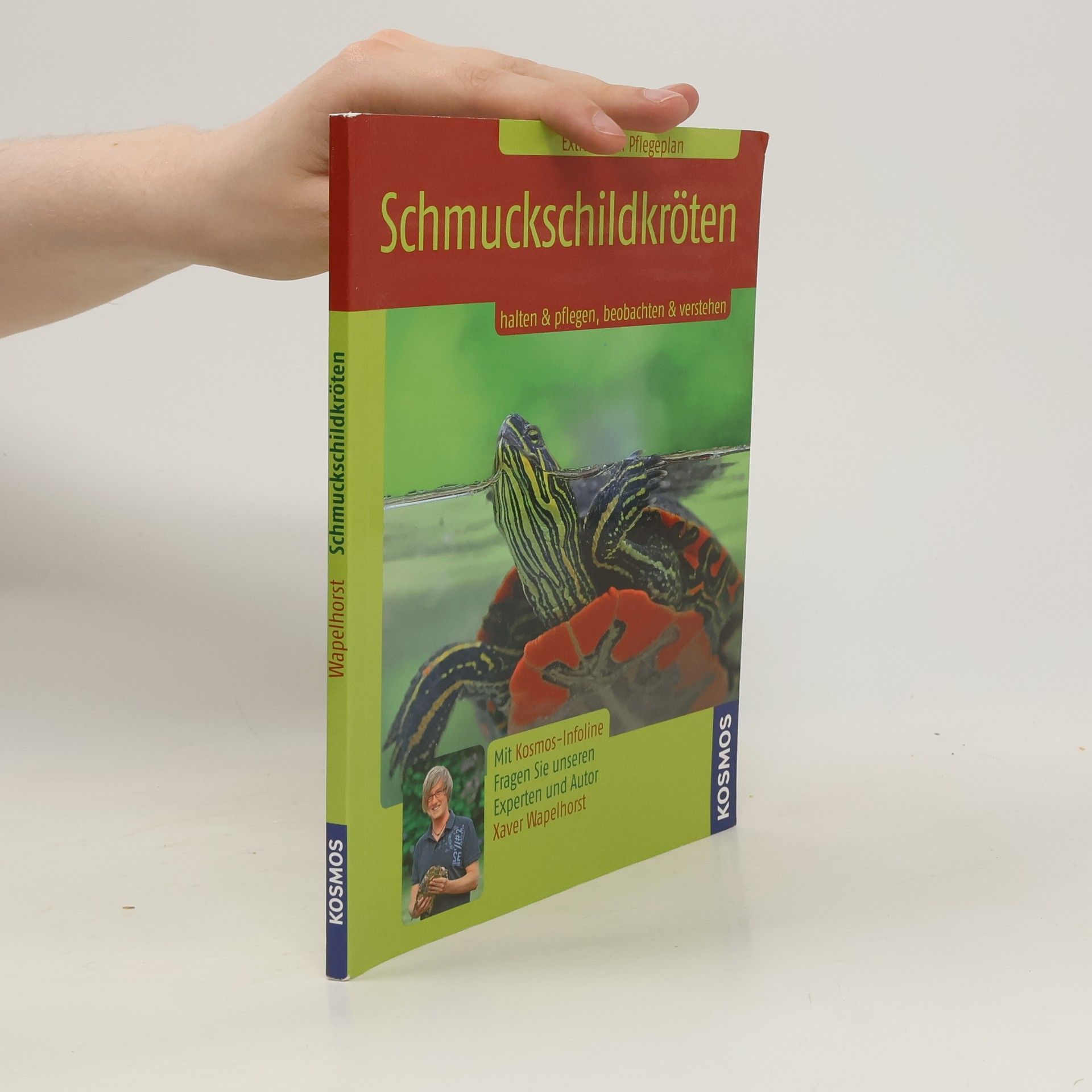 Xaver Wapelhorst Schmuckschildkröten