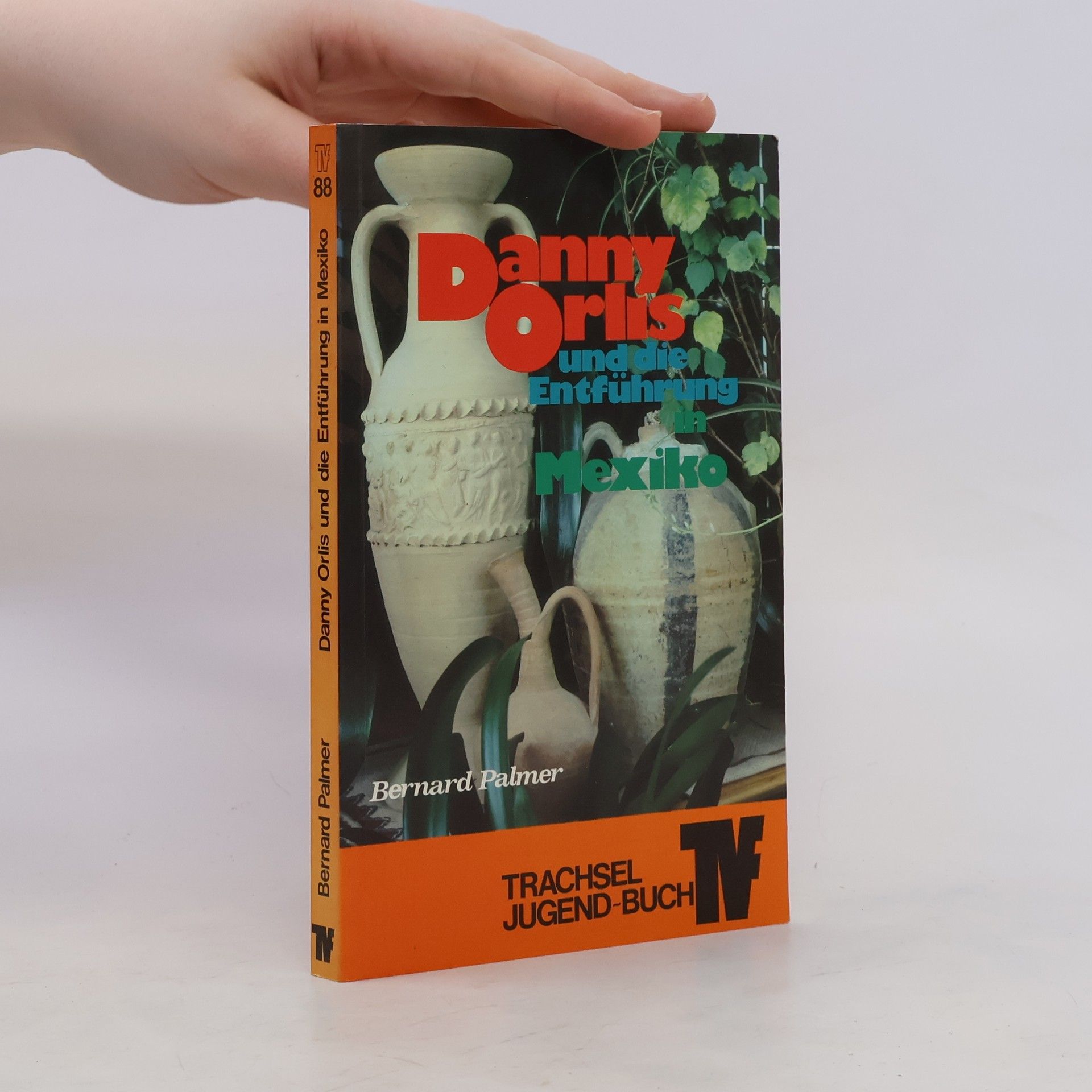 Bernard Alvin Palmer Danny Orlis und die Entführung in Mexiko