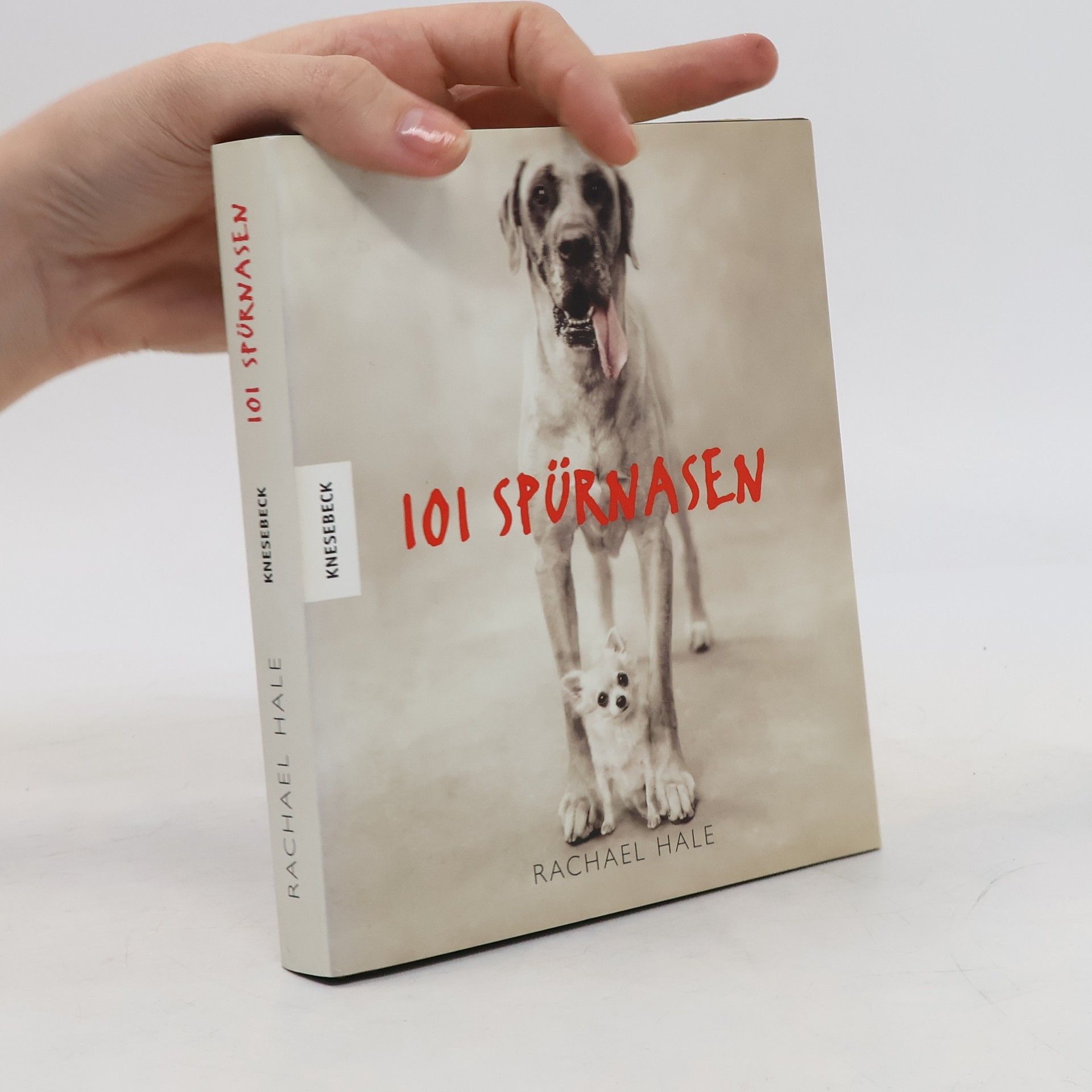 Rachael McKenna 101 Spürnasen