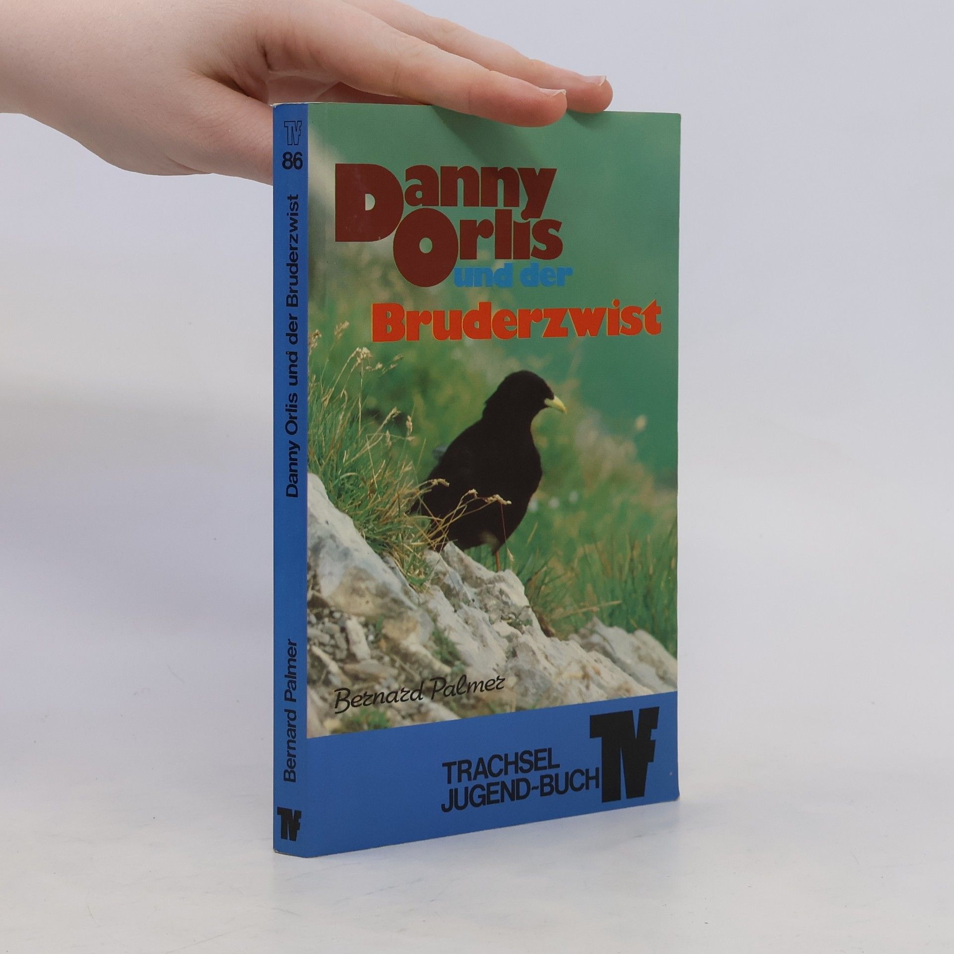 Bernard Alvin Palmer Danny Orlis und der Bruderzwist