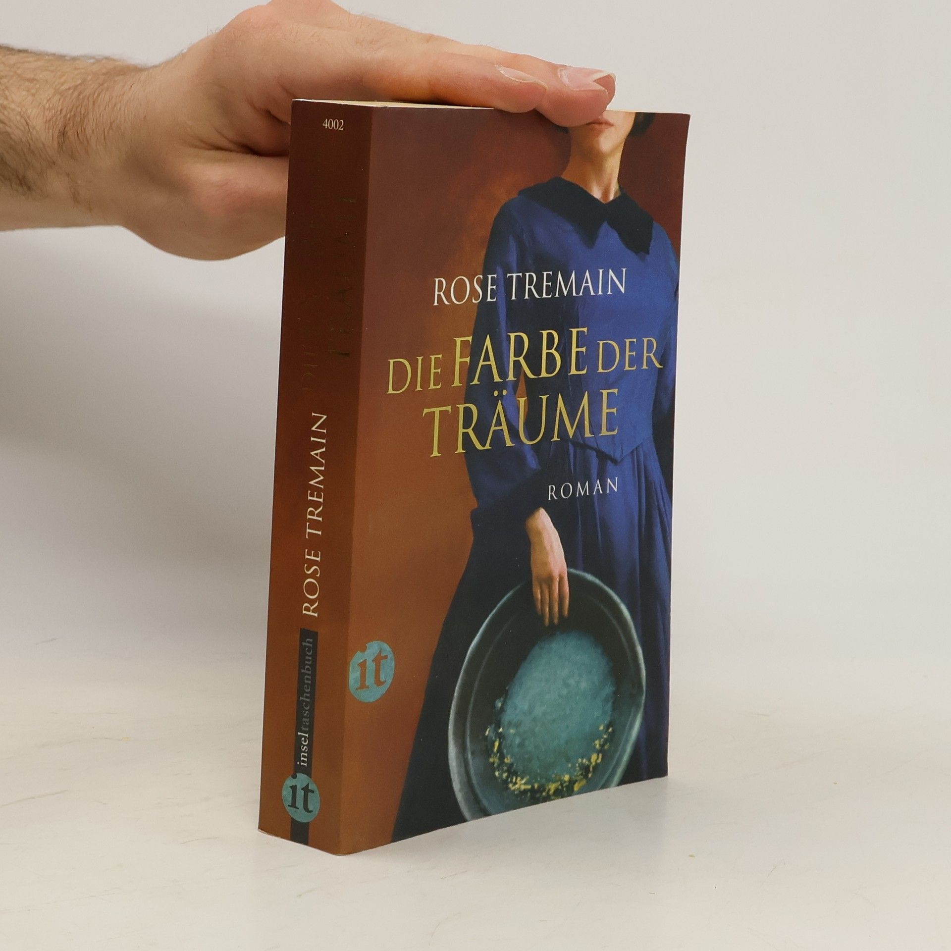 Rose Tremain Die Farbe der Träume