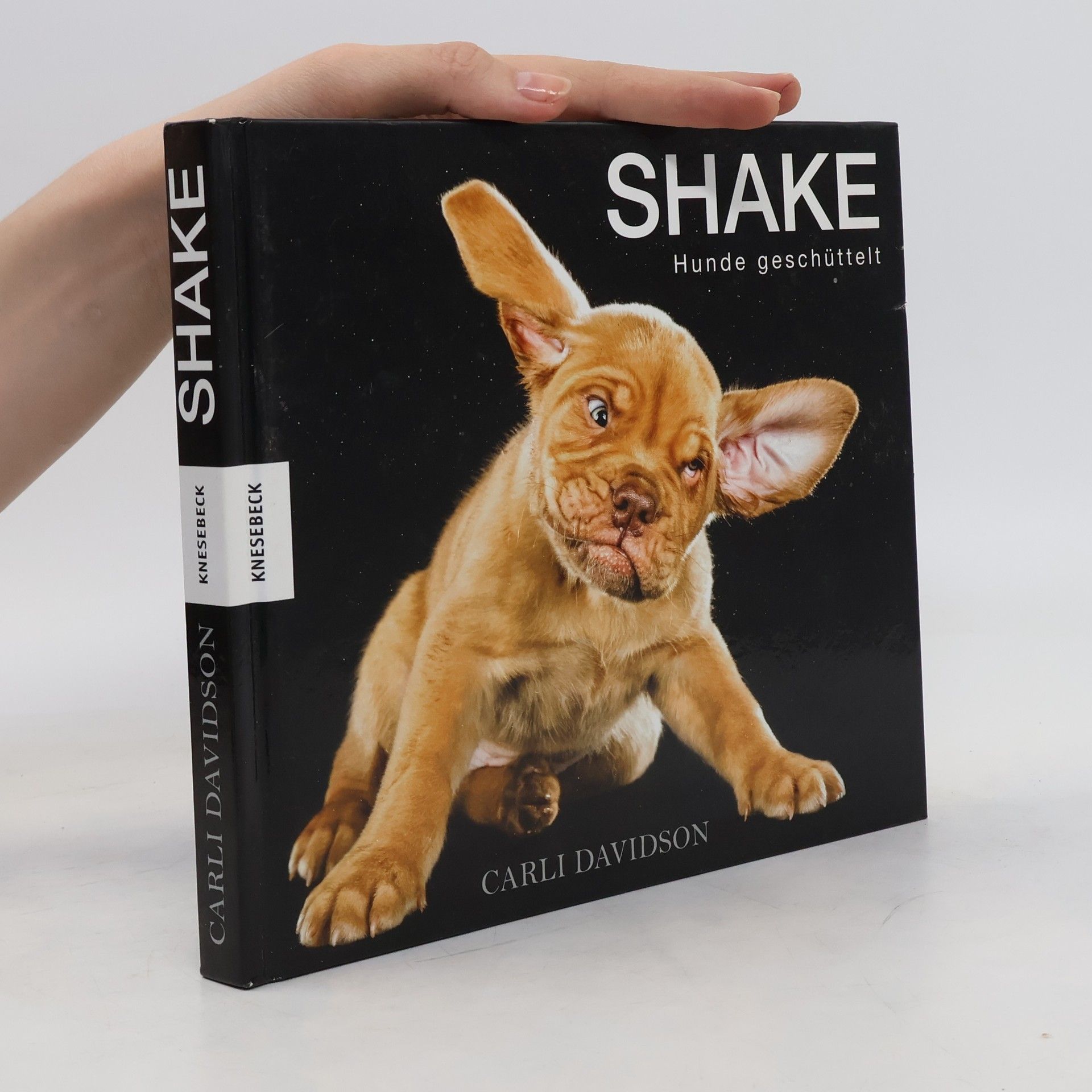 Carli Davidson Shake. Hunde geschüttelt.