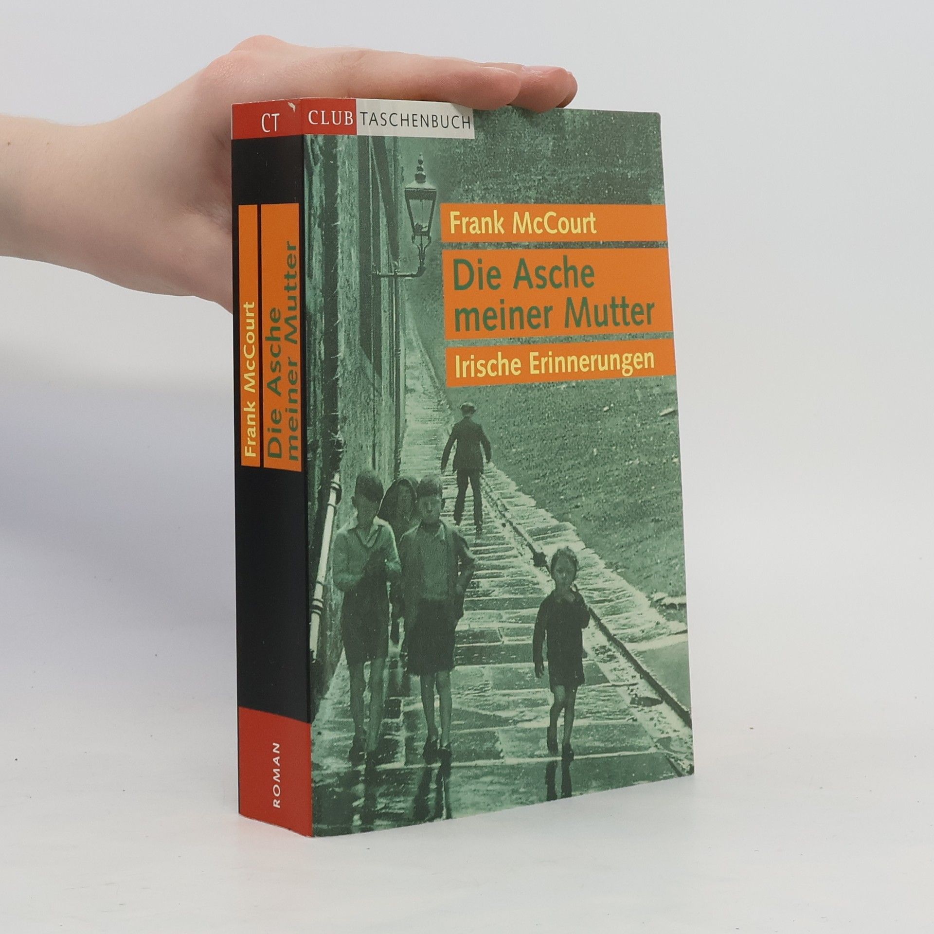 Frank McCourt Die Asche meiner Mutter