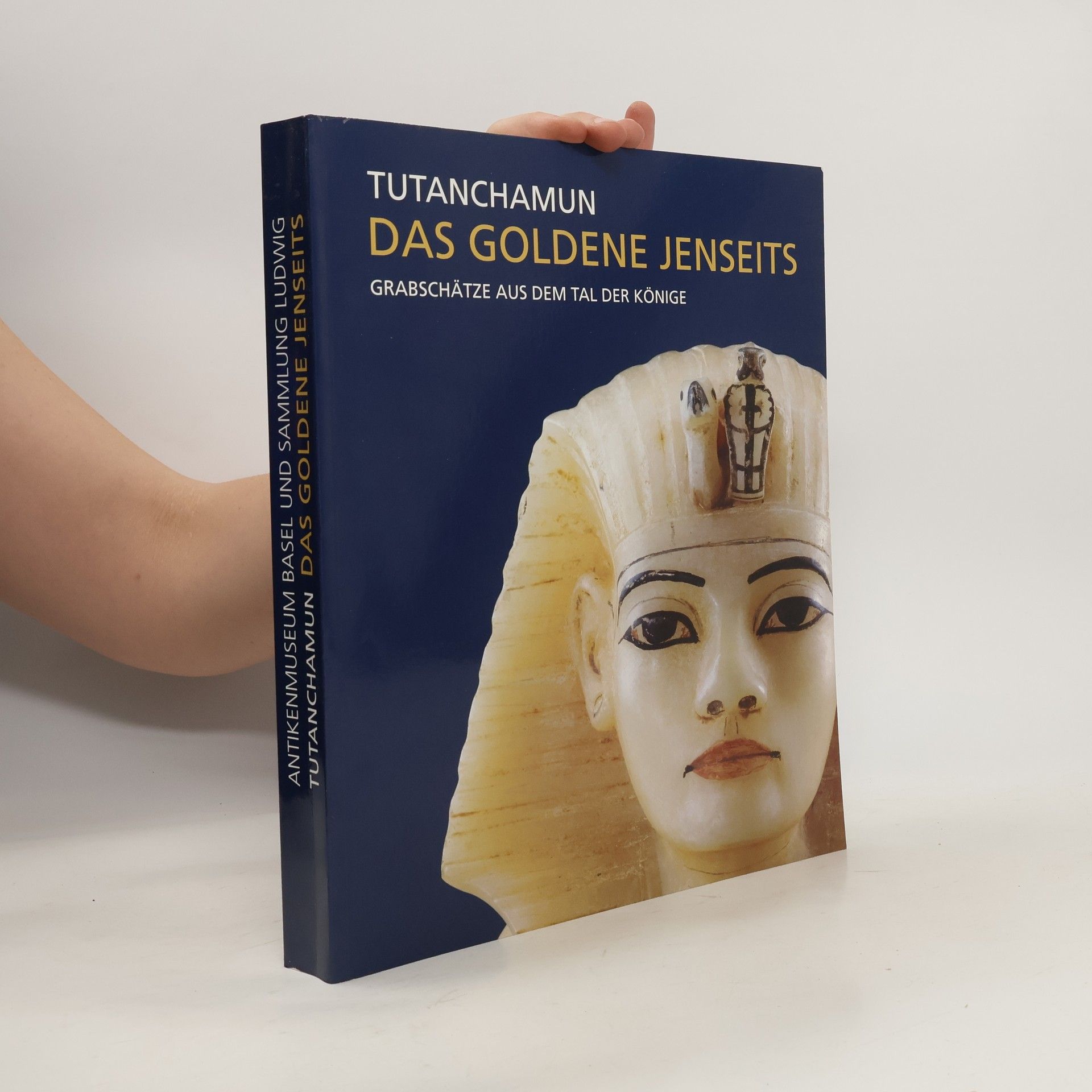 Andre B. Wiese Tutanchamun - das goldene Jenseits