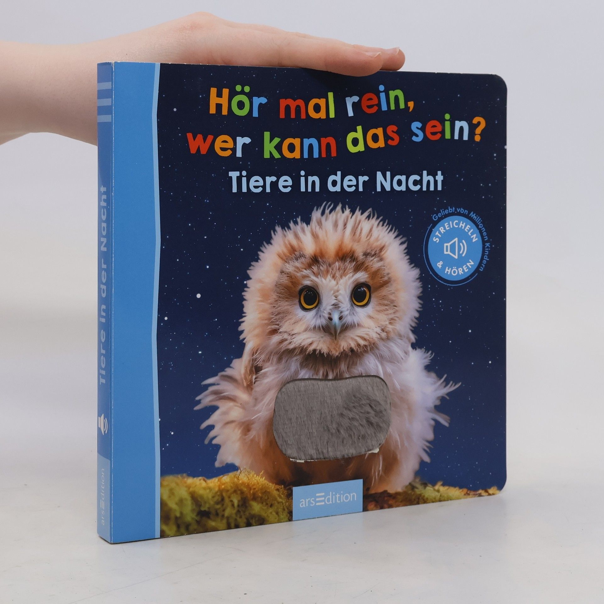 Collective Hör mal rein, wer kann das sein? - Tiere in der Nacht