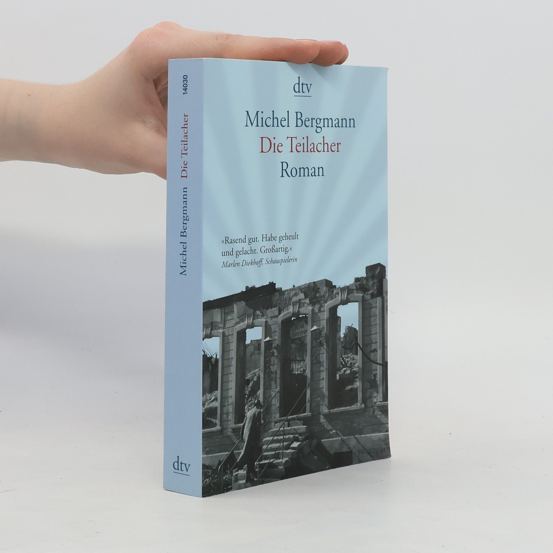 Michel Bergmann Die Teilacher