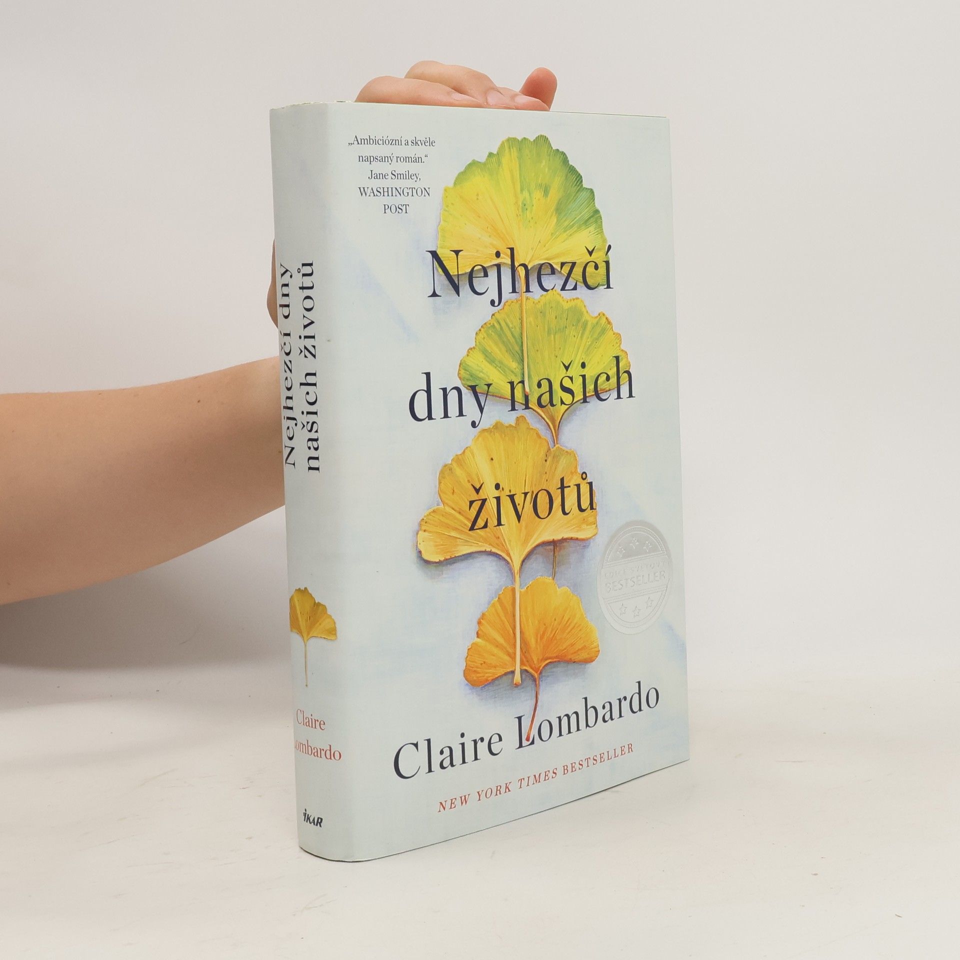 Claire Lombardo Nejhezčí dny našich životů