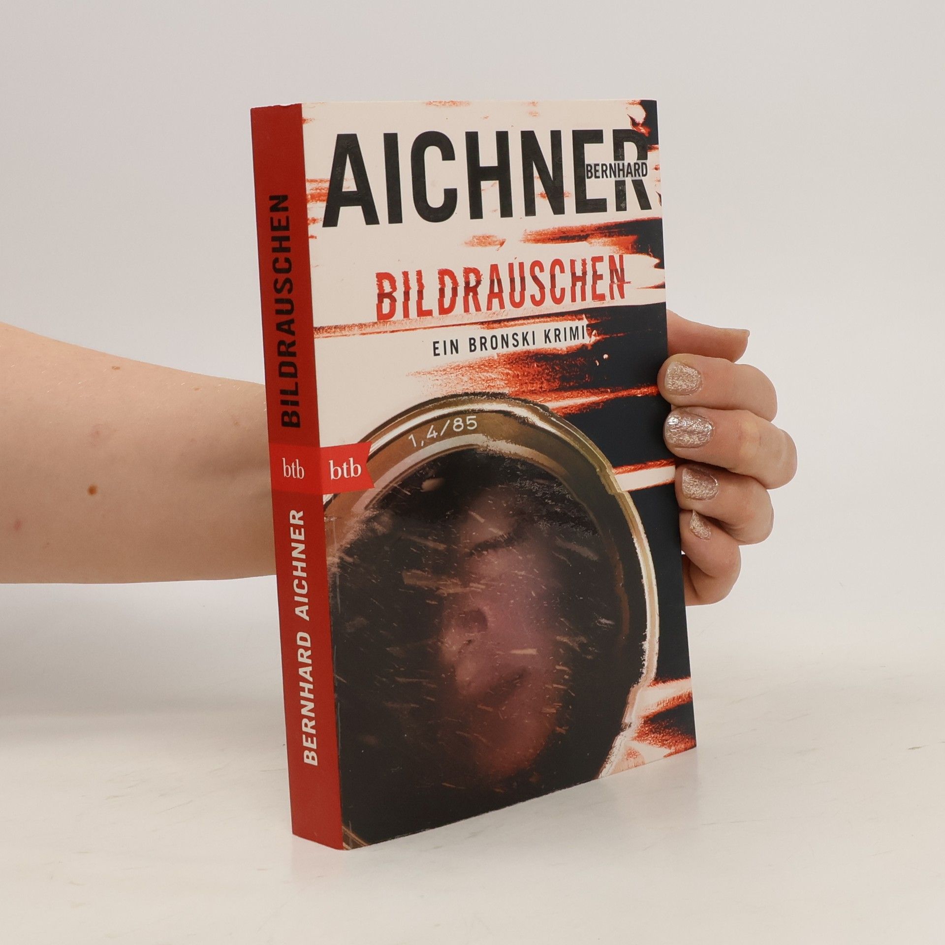 Bernhard Aichner Bildrauschen